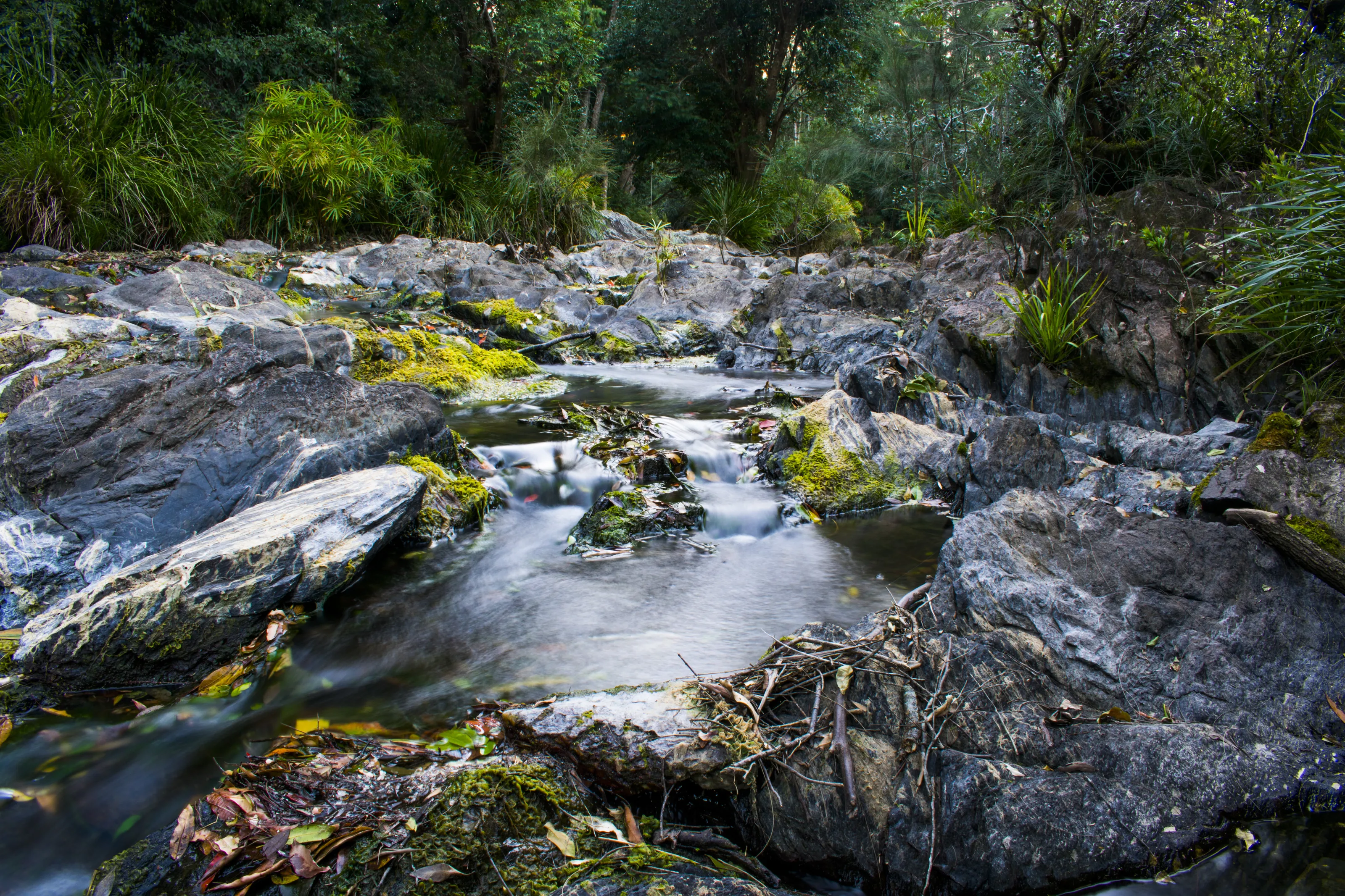 Flowing River
