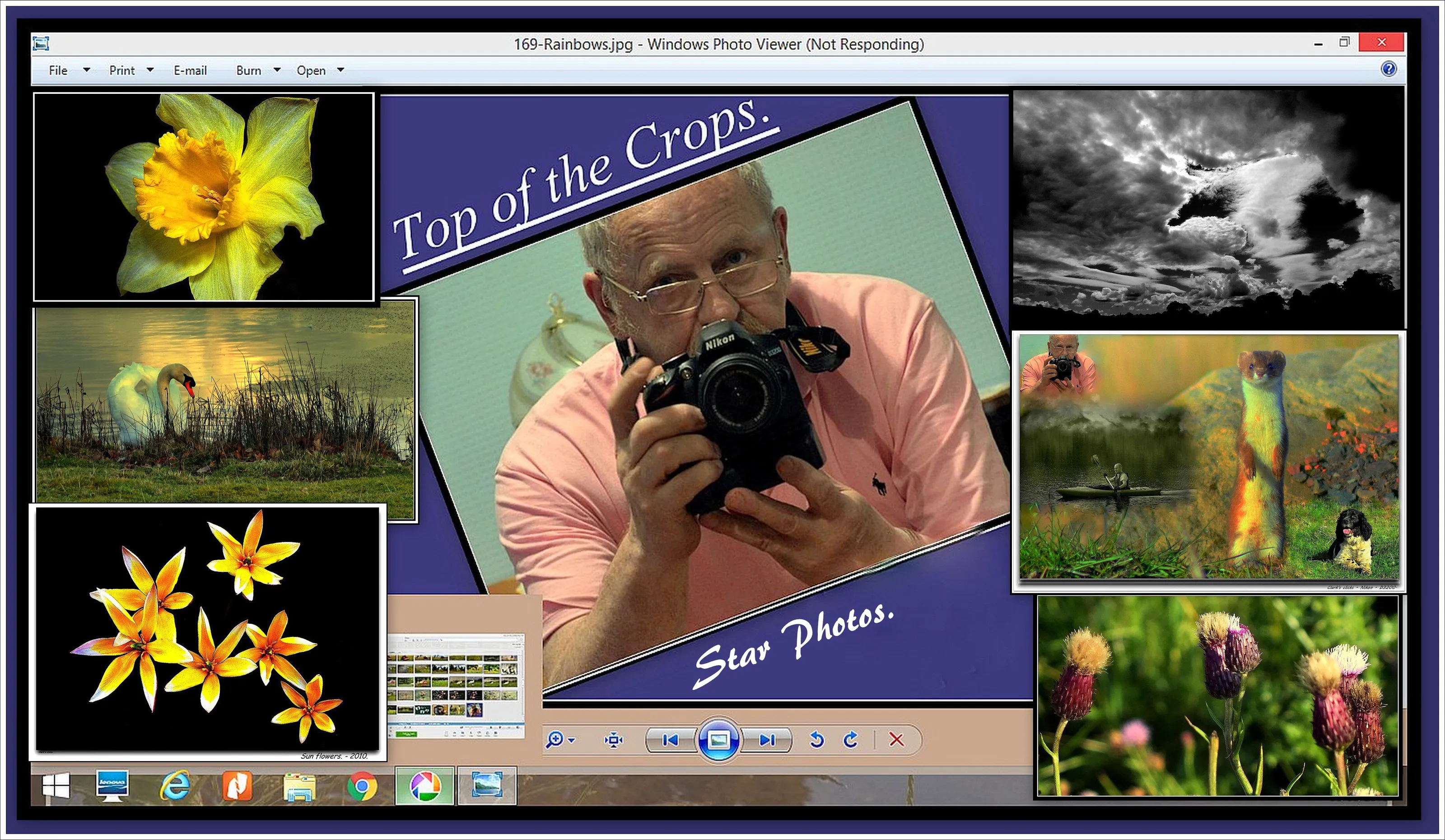 My Collage Picture - For Collage Entry.