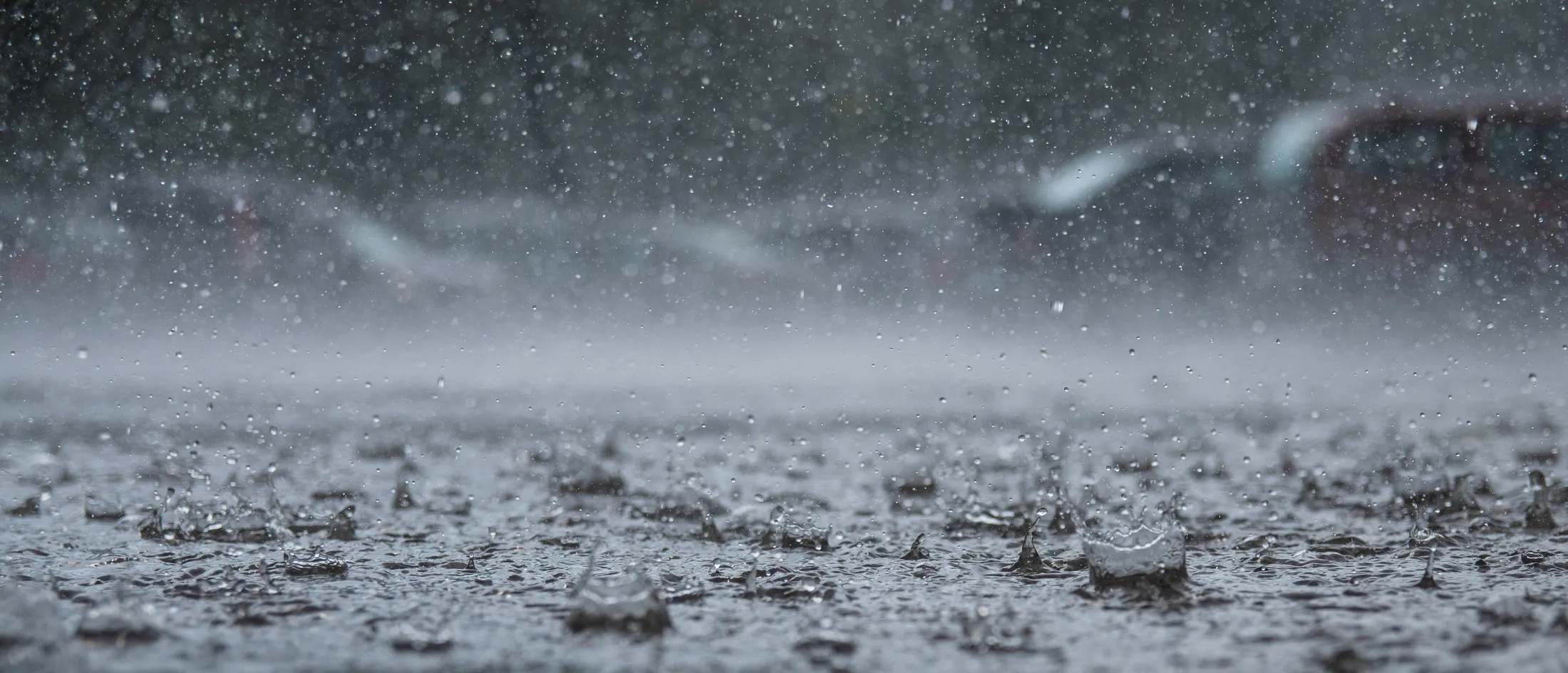 Entry 5287522