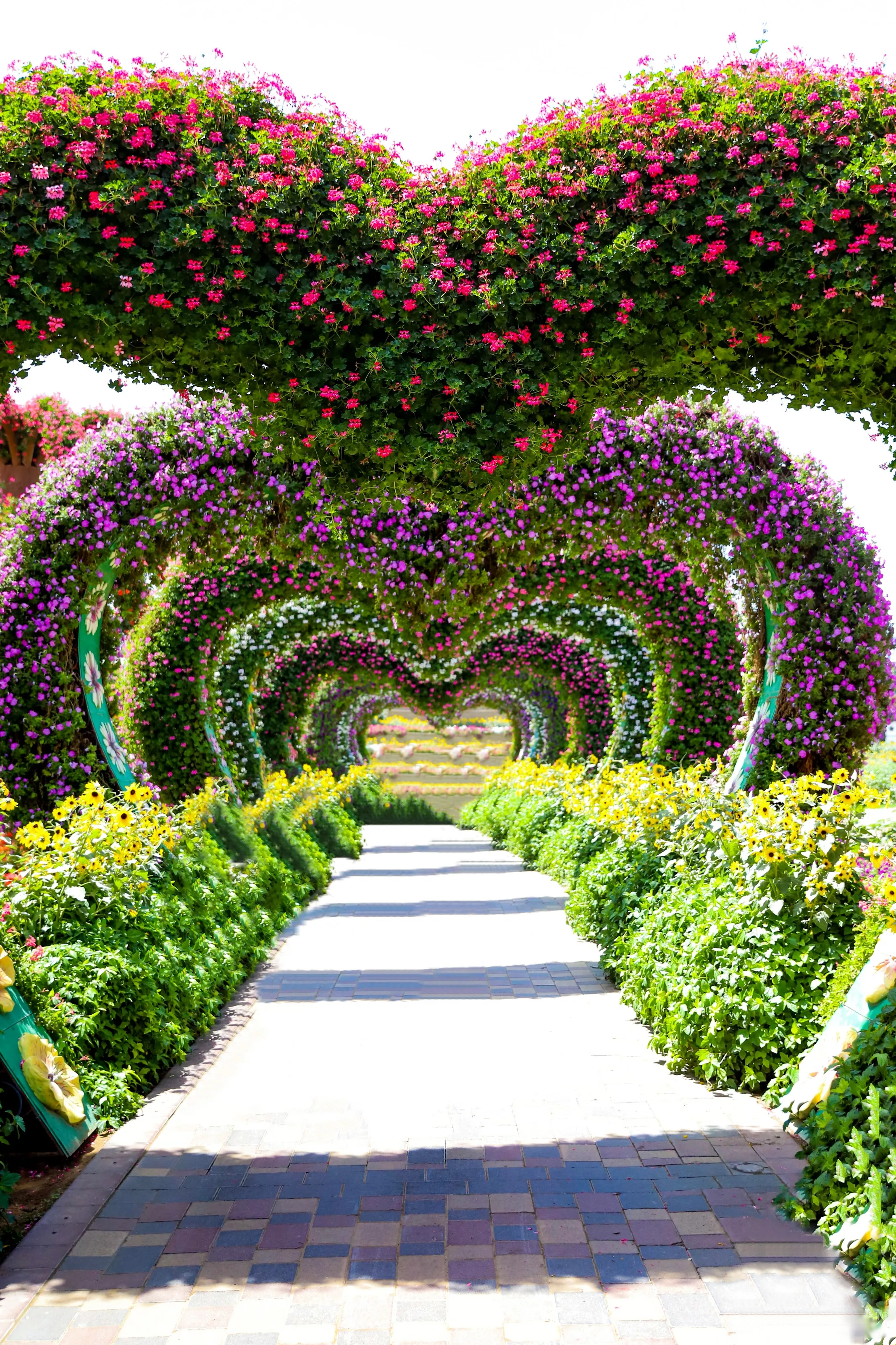 Miracle Love Garden