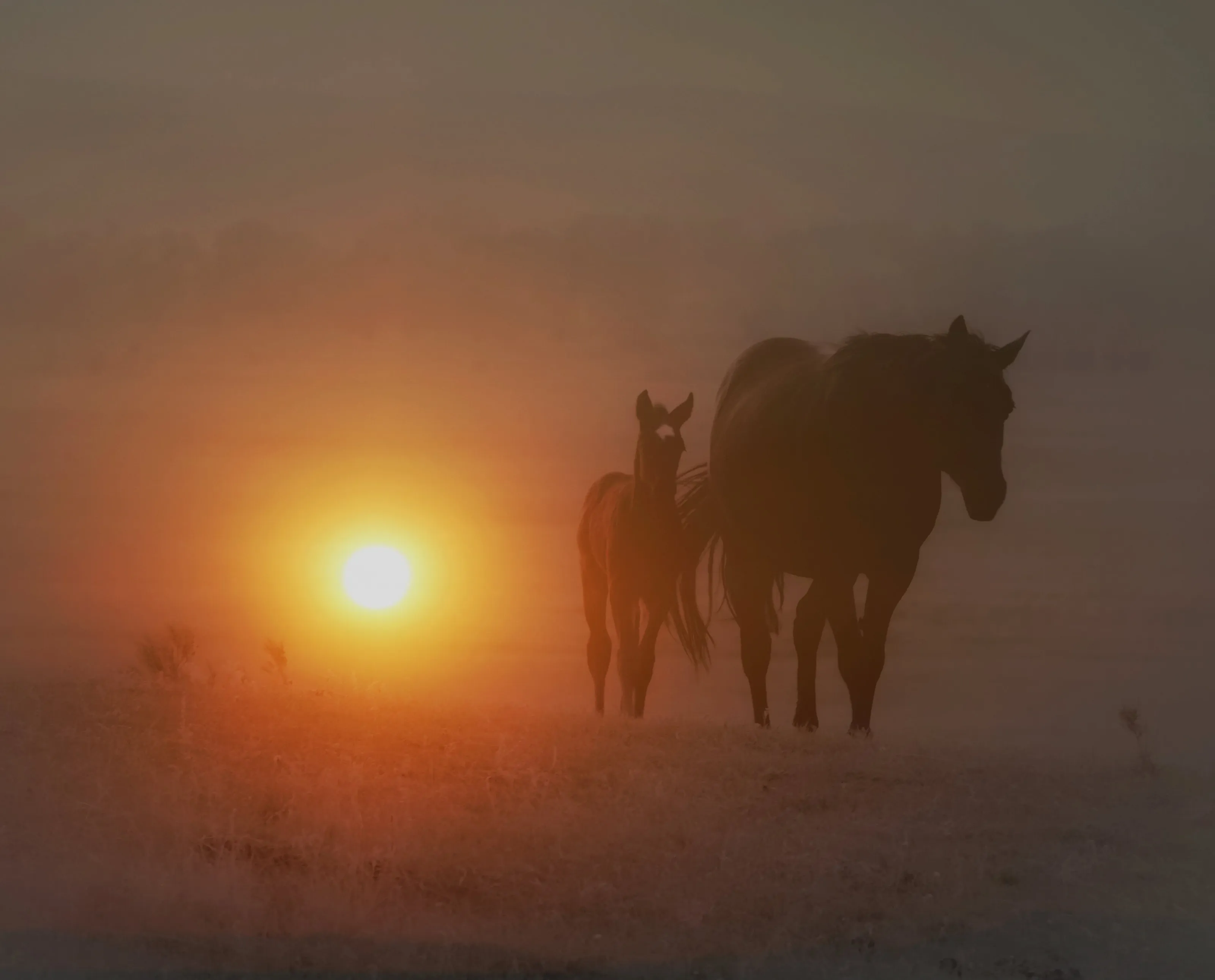 Montana Smokey Sunset