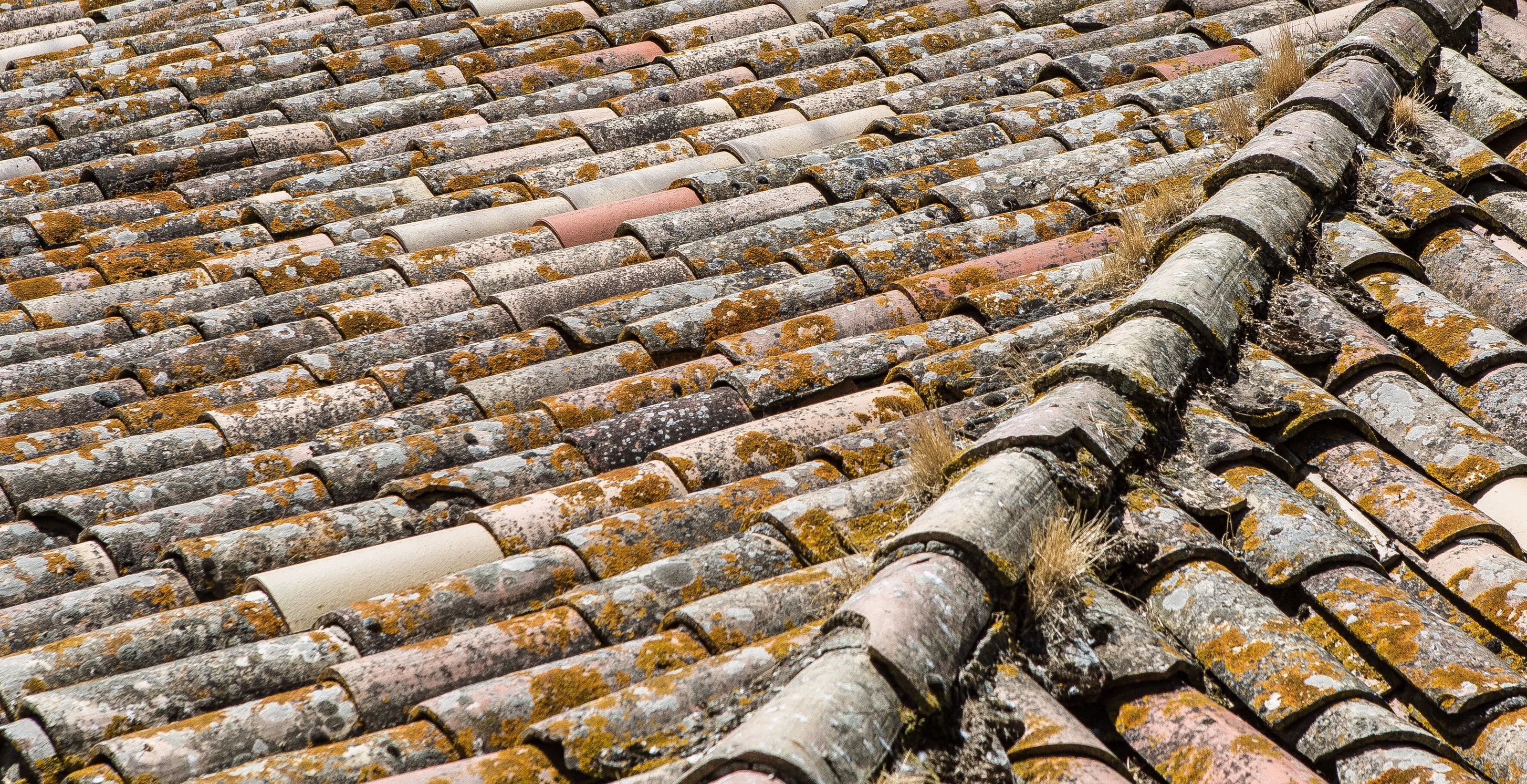 Roof Tiles in Carcassonne