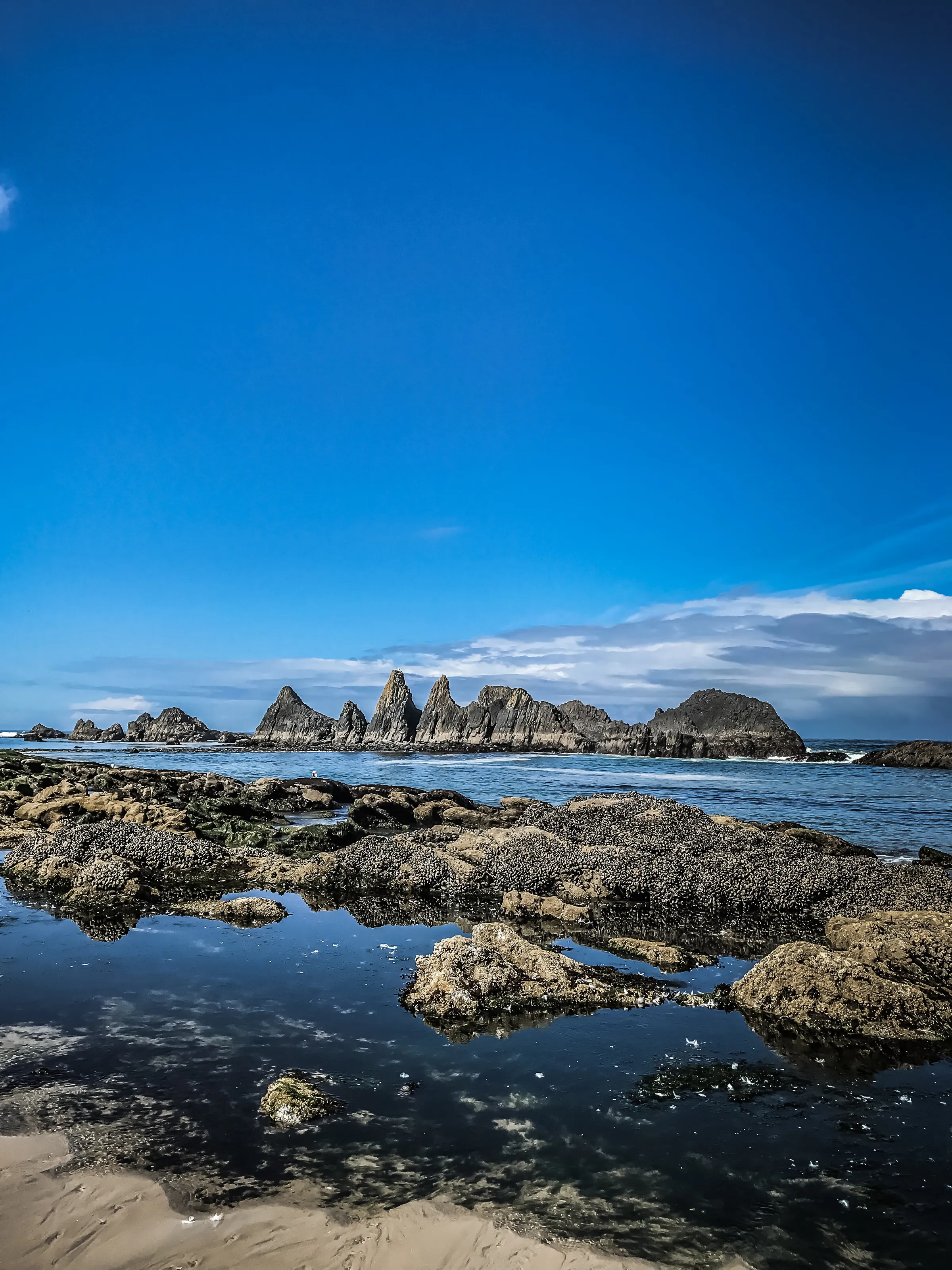 Oregon Coast
