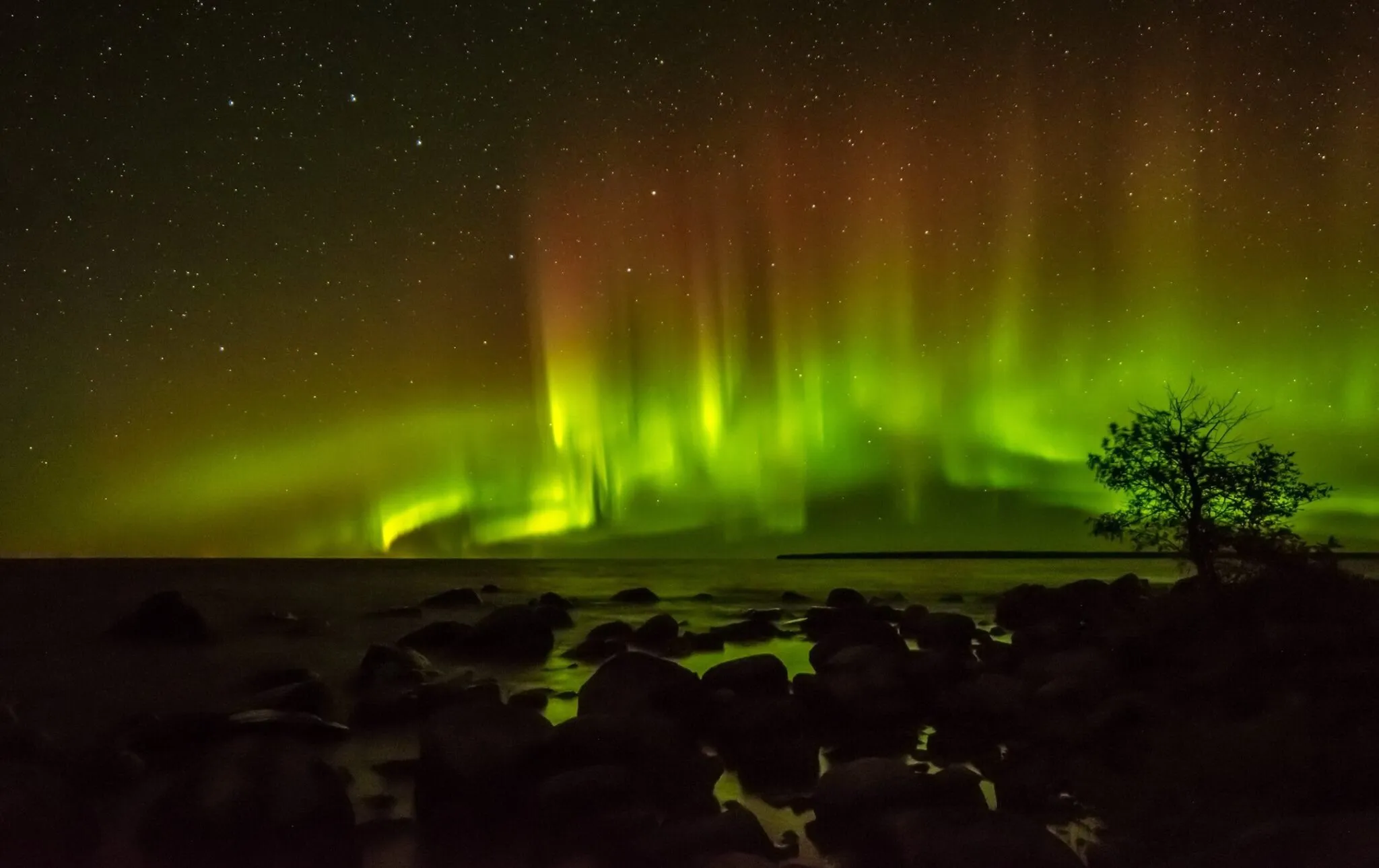 Northern Lights Surprise