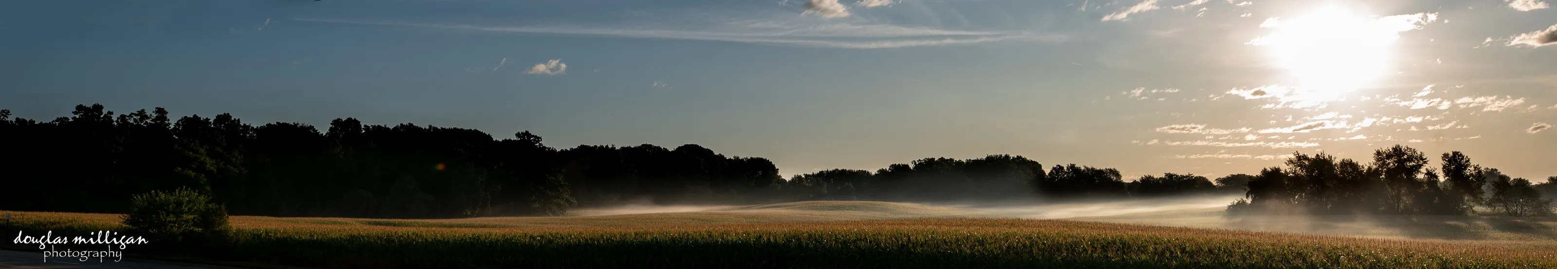 Foggy Farm