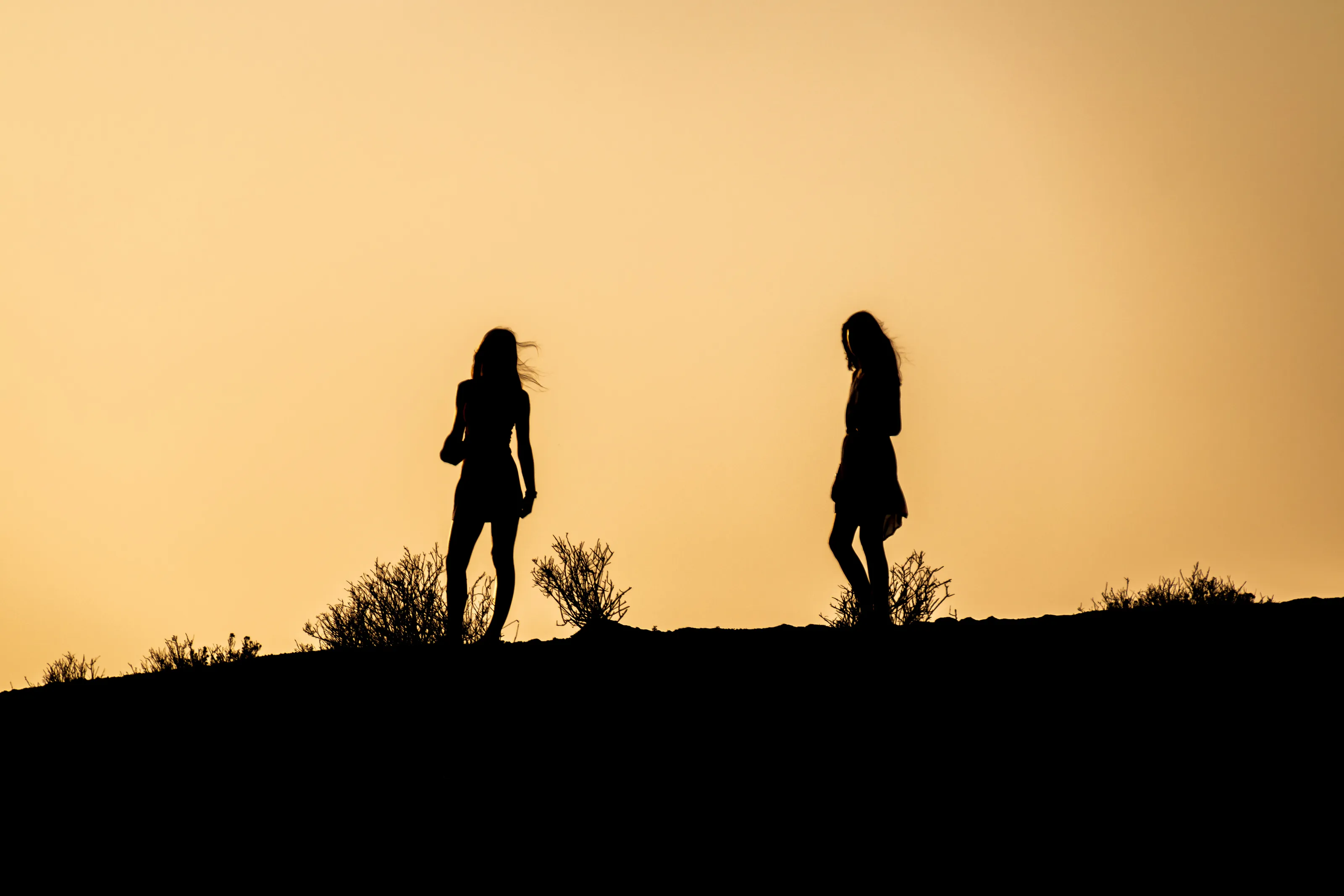 Sunset moment