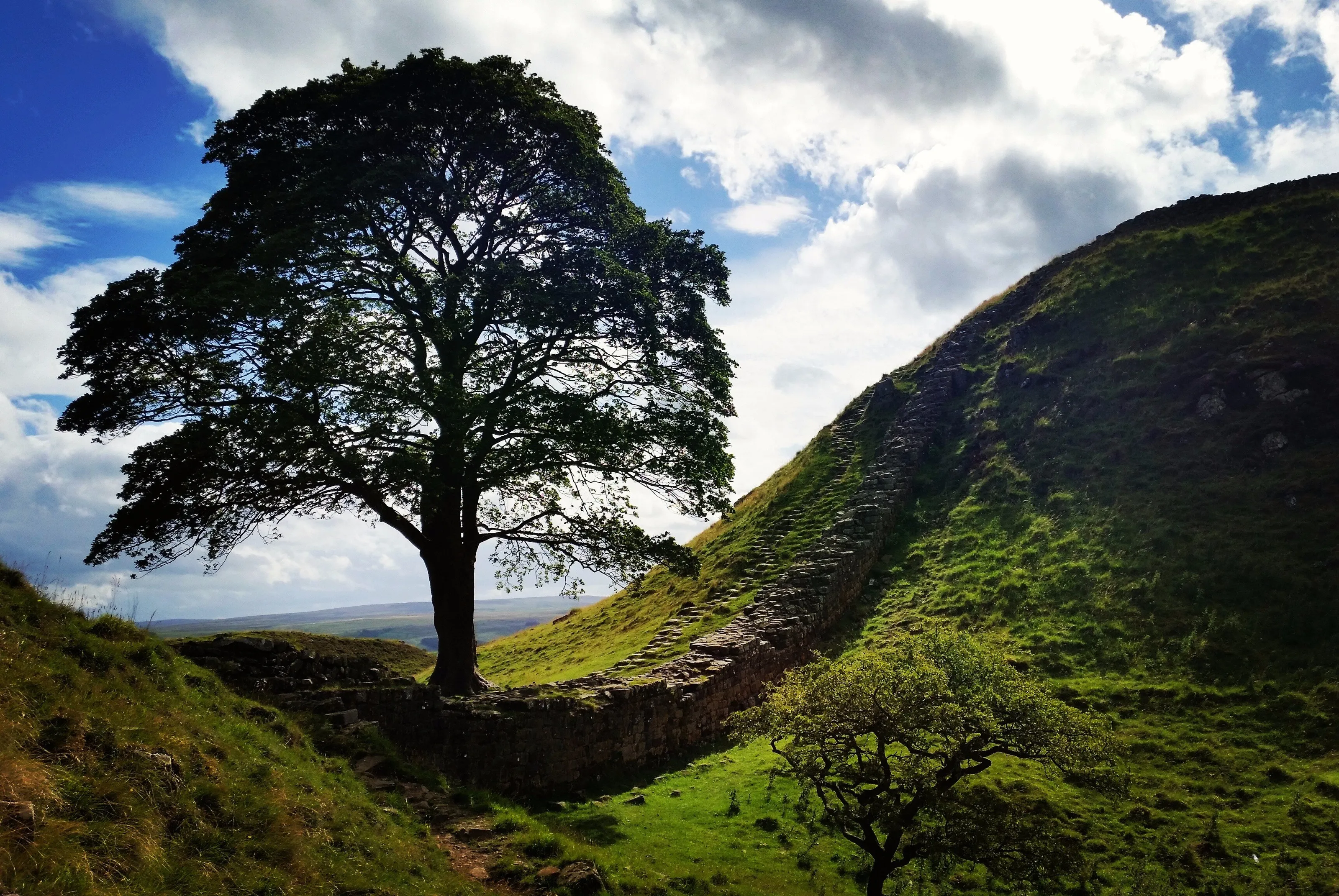 Sycamore Gap,: Robin Hood Prince of Thieves