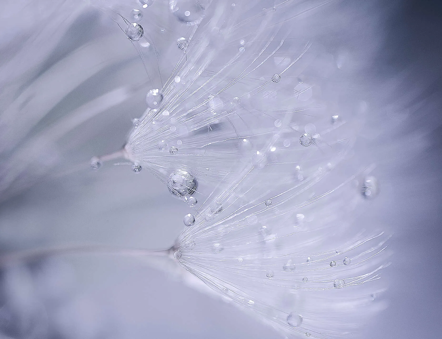 After the rain