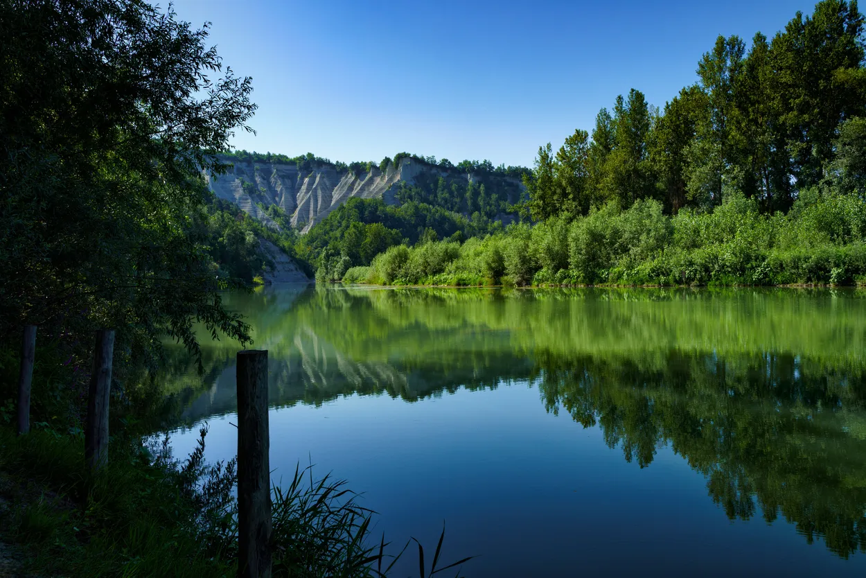 Entry 9632115