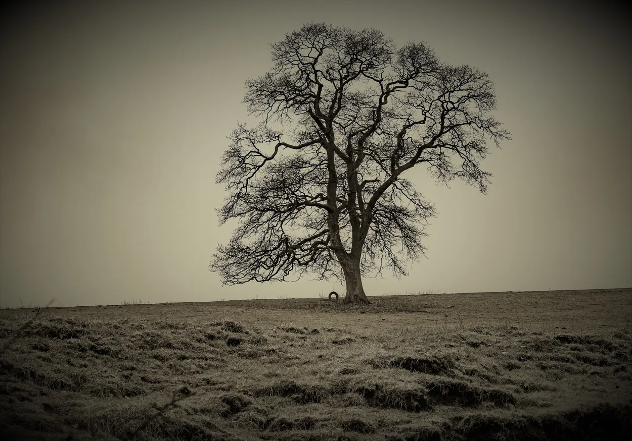 Entry 10193564