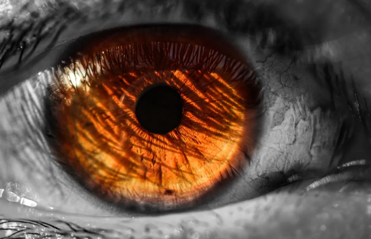 Entry 5311671