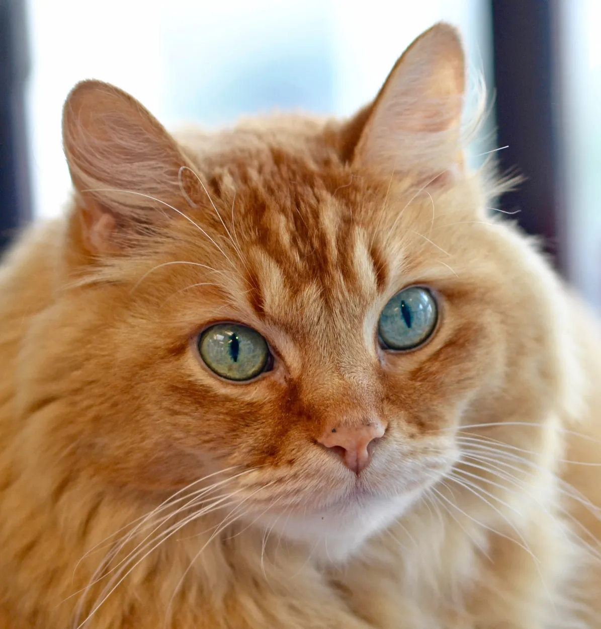 Entry 4769667