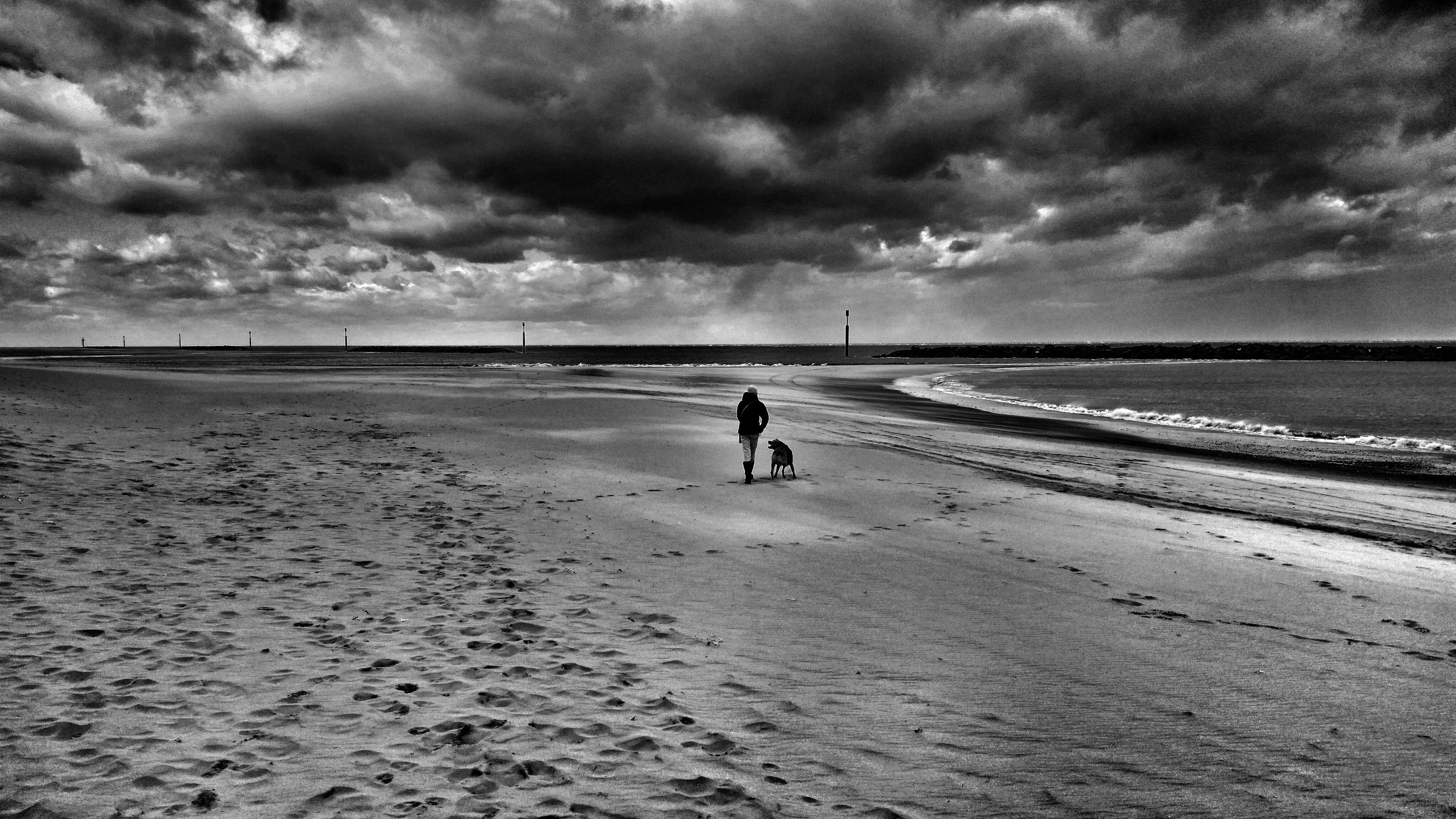 Dog walker