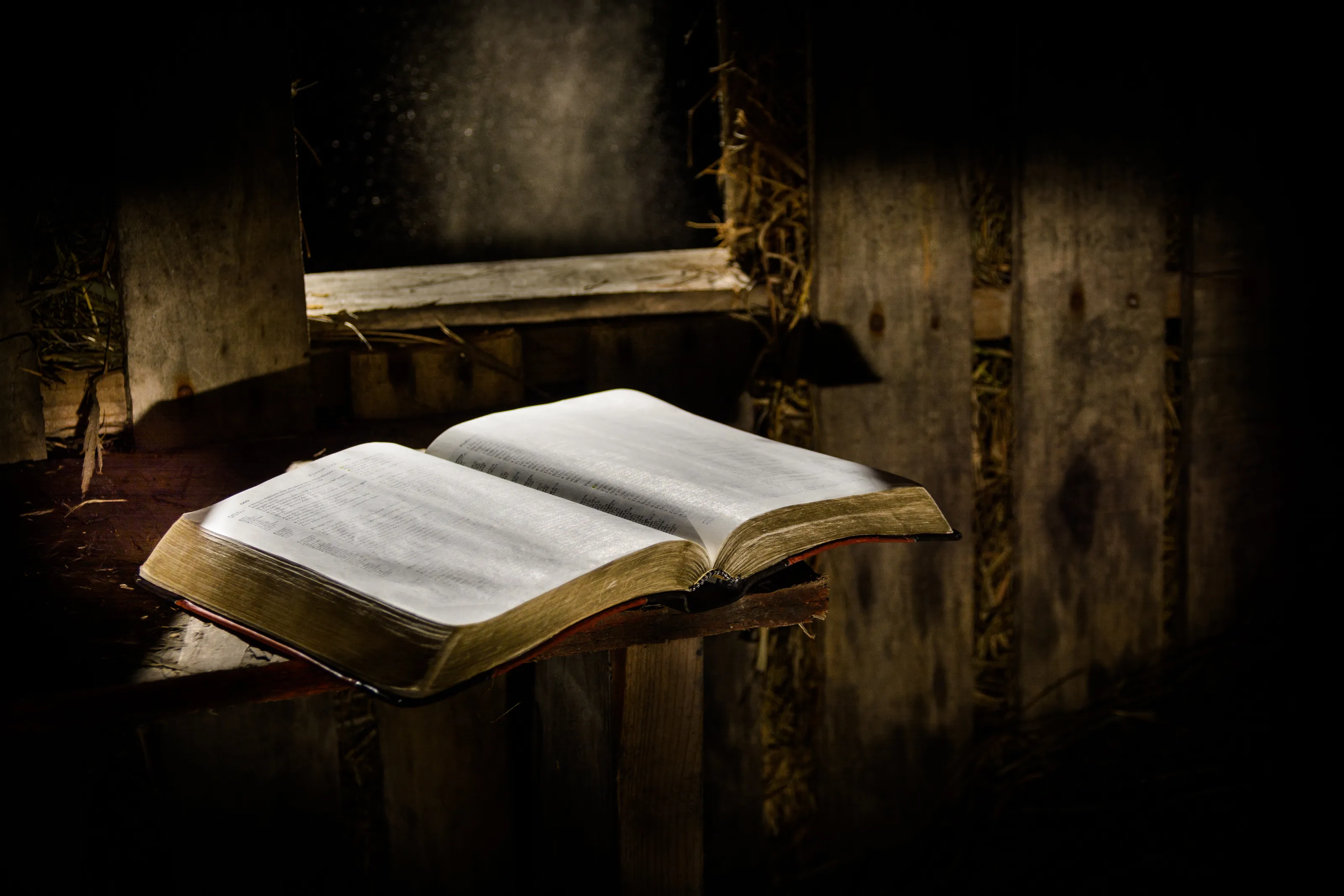 bible reading under window light