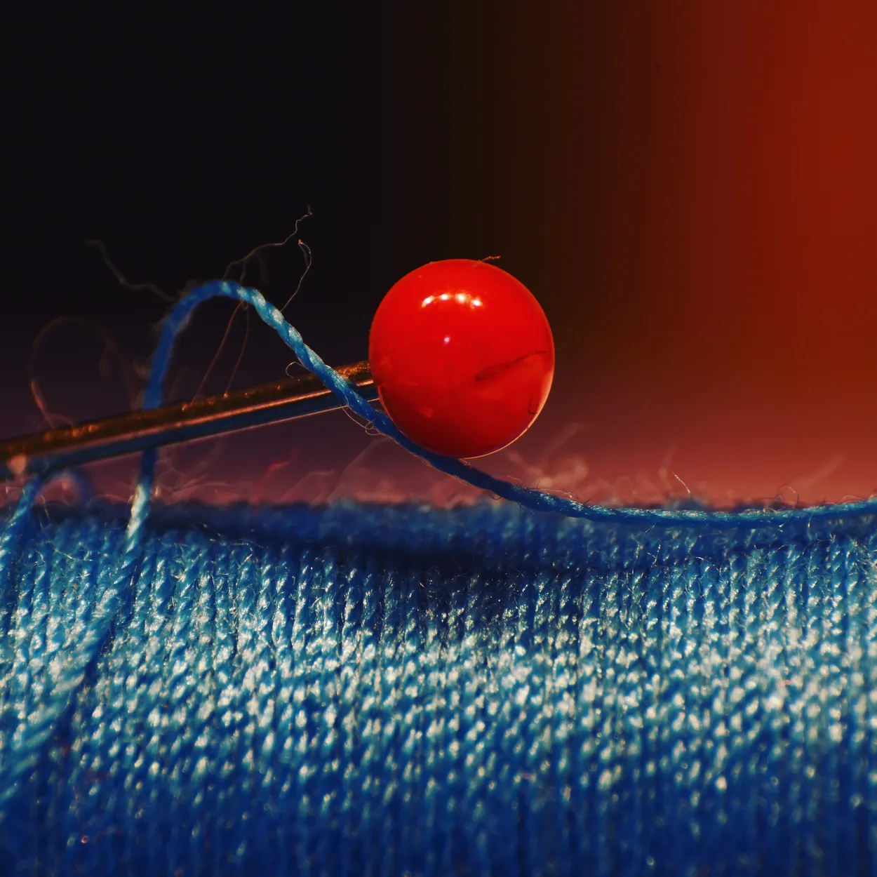 Entry 8164702