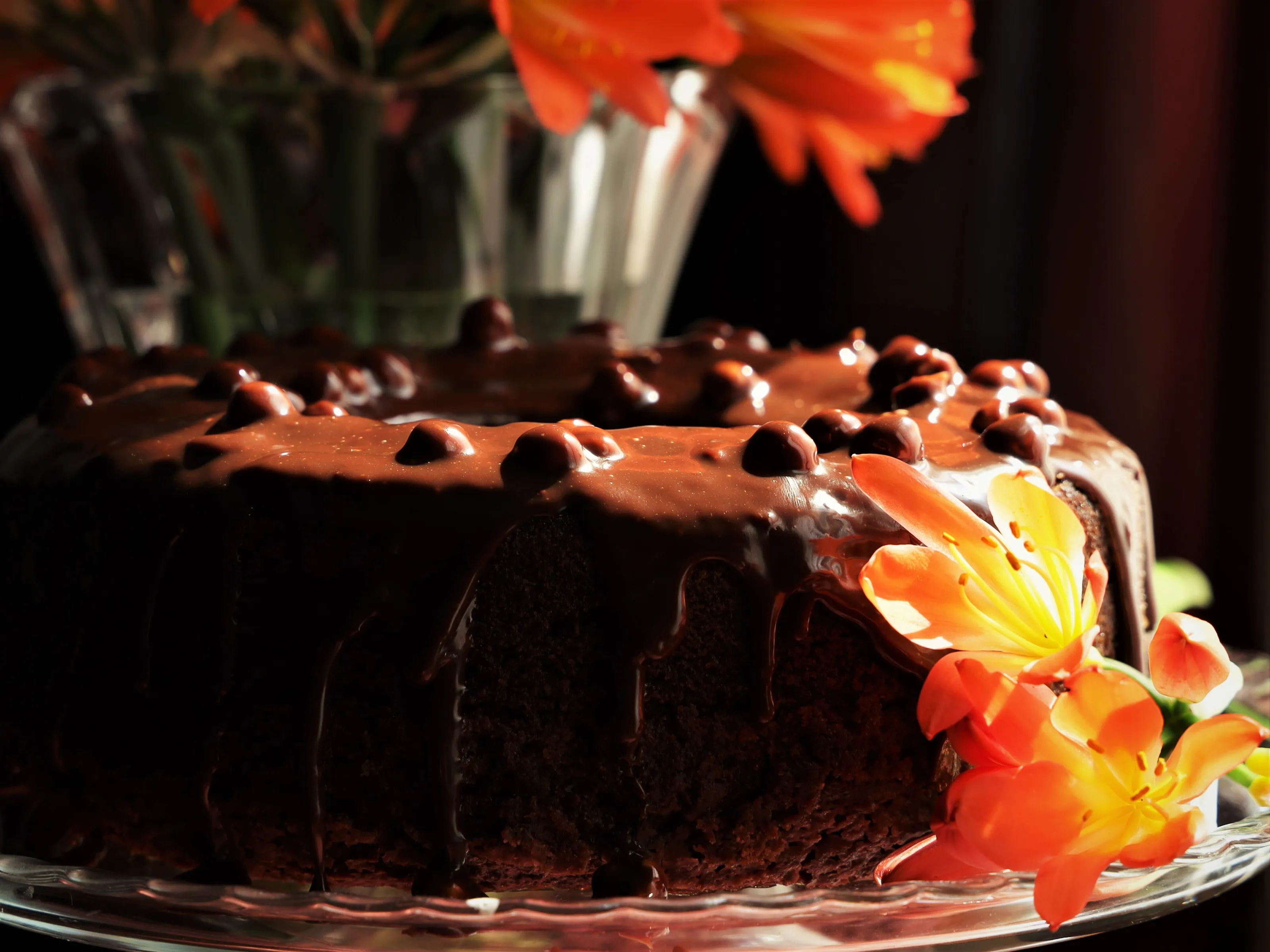 Clivias and choclate cake