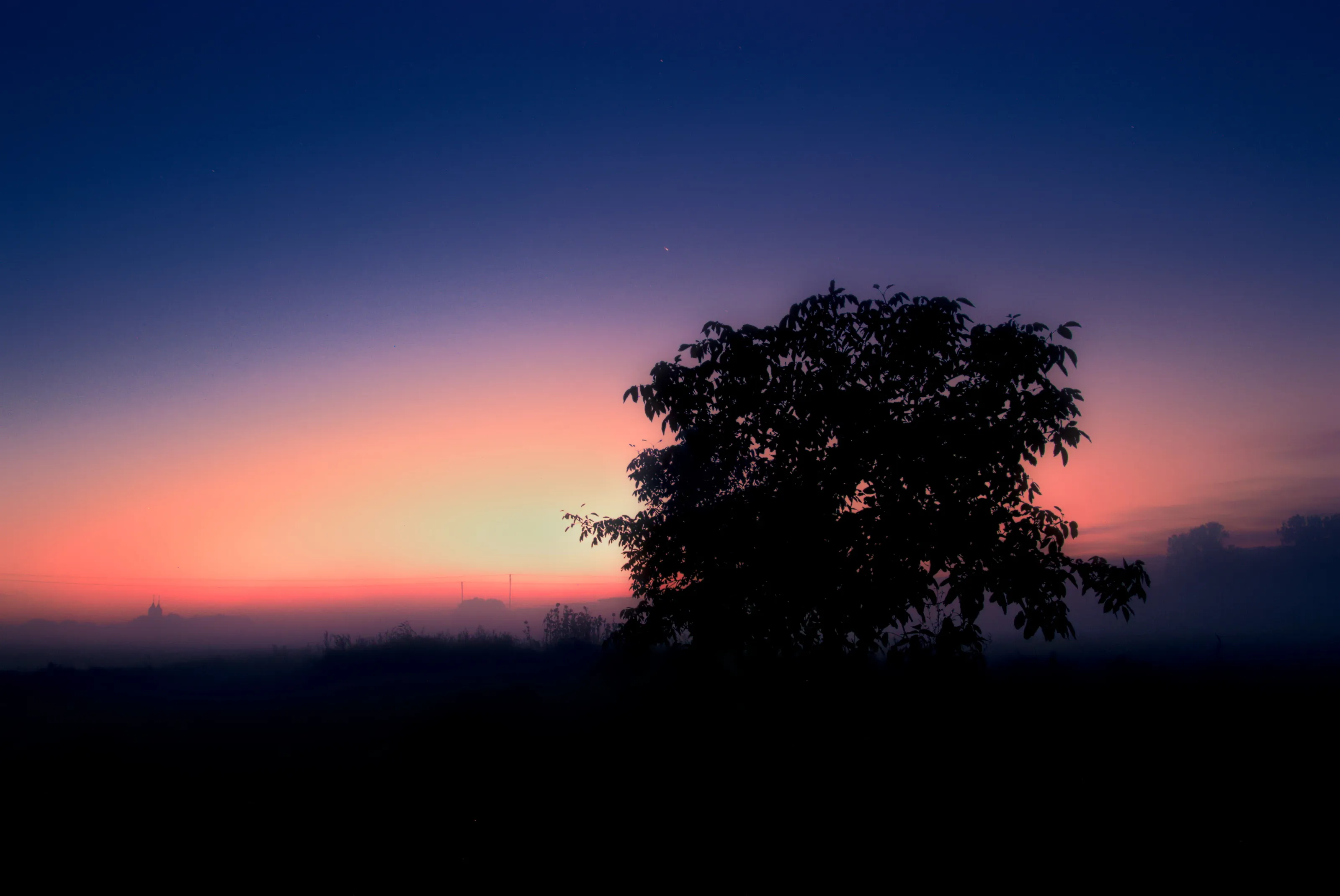 Misty end of the day