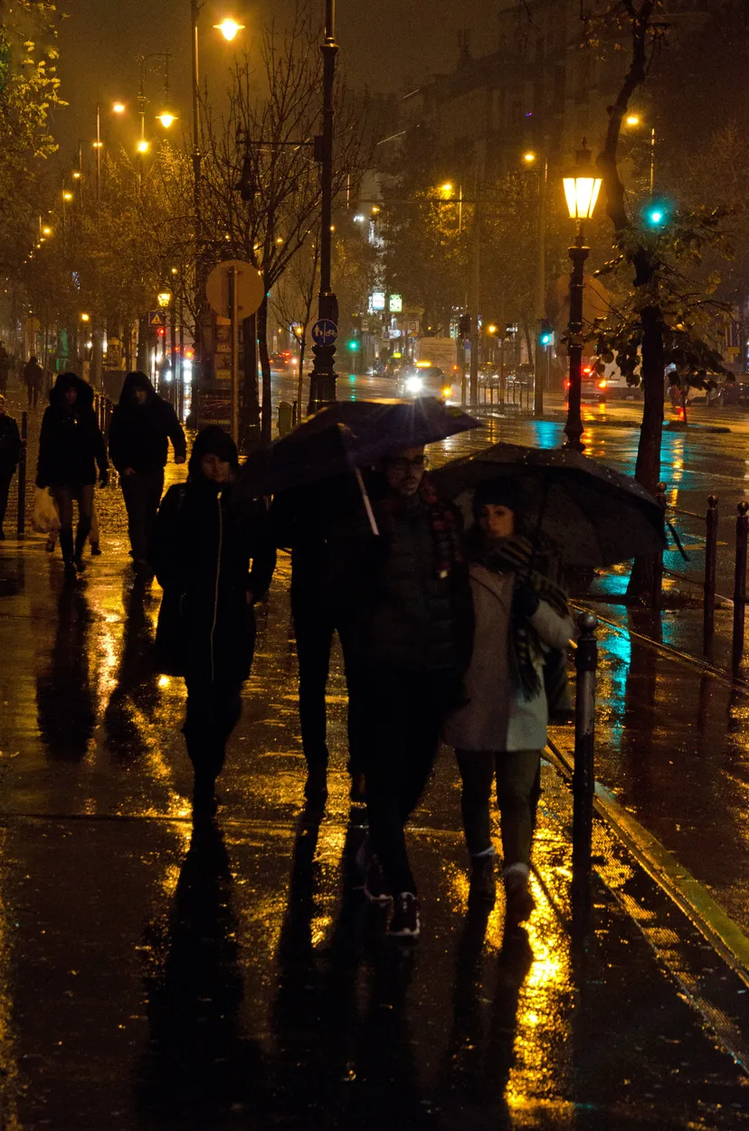 Entry 4788122