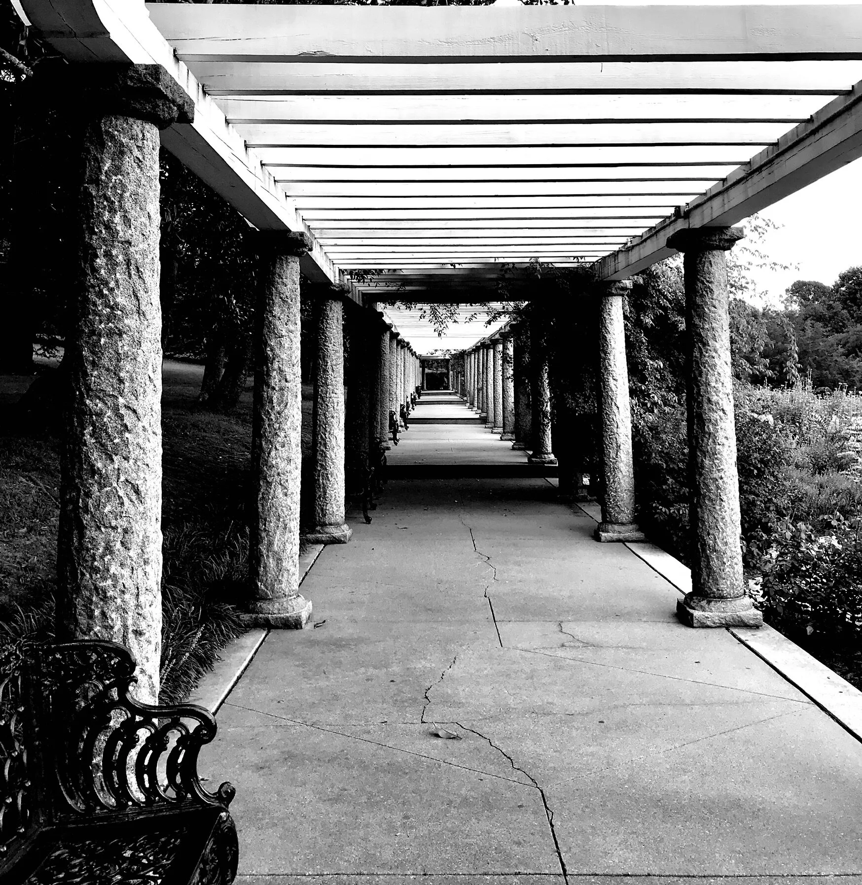 The almost endless path before me