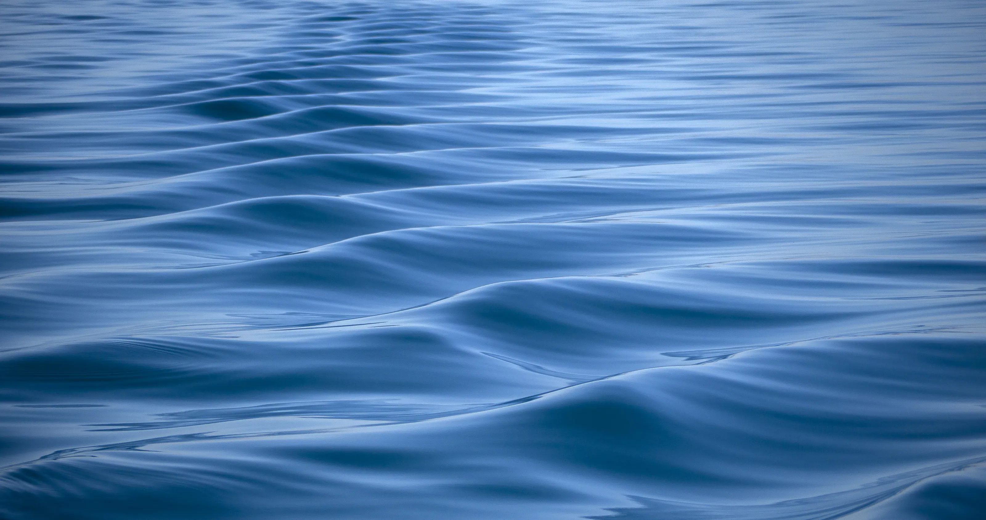 Silky Sea