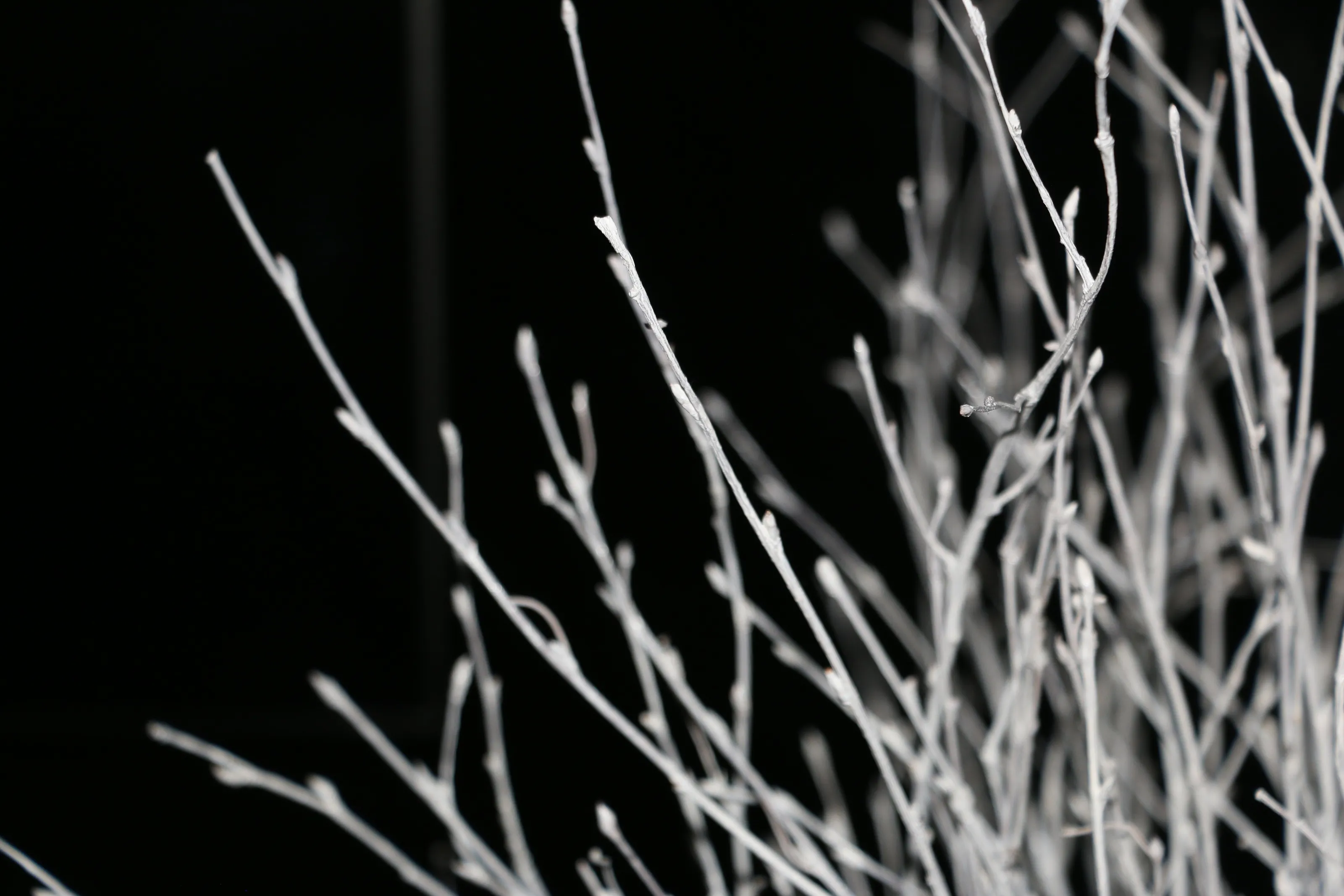 Nature in silver