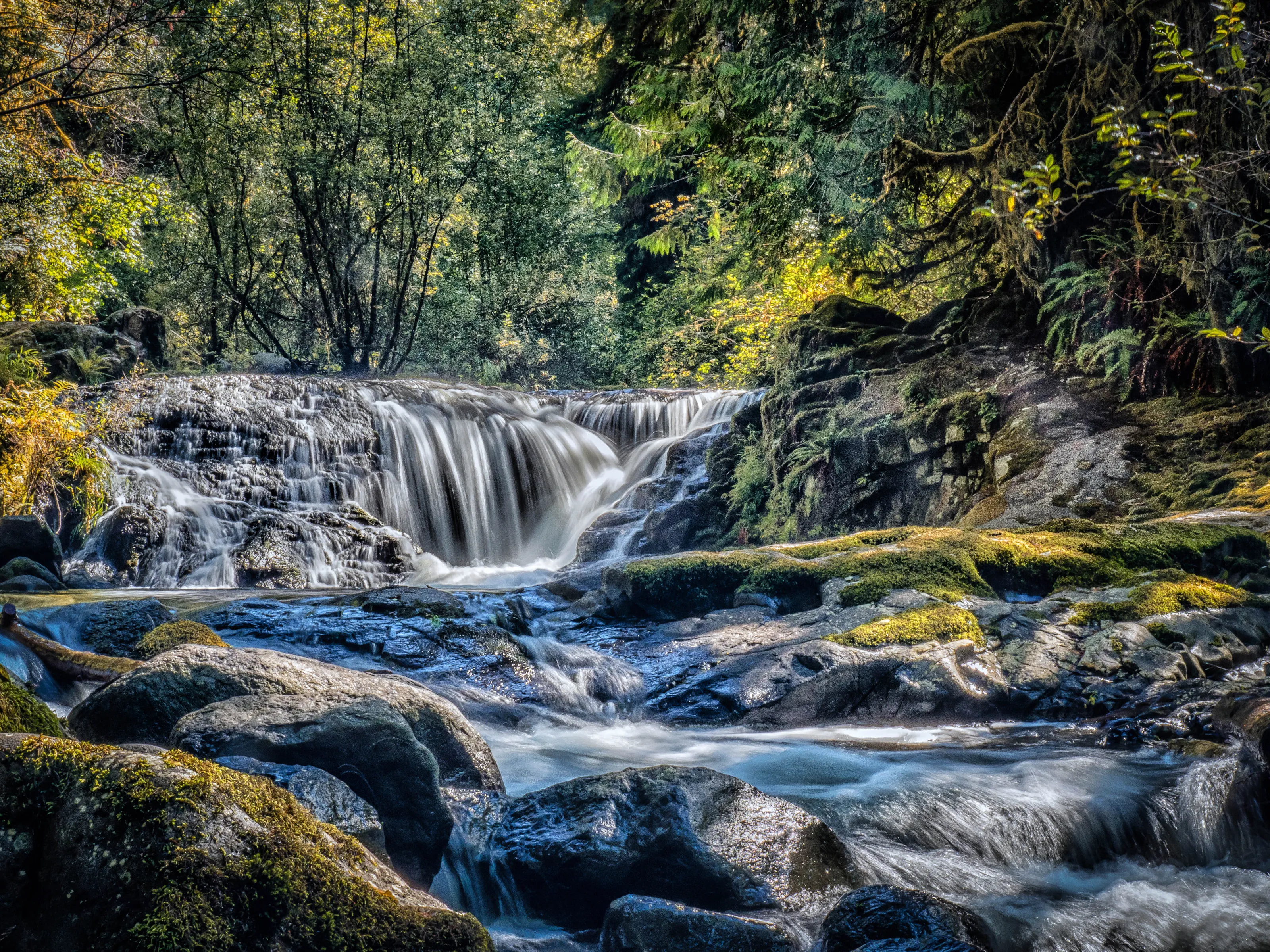 Sweet Creek Falls in Oregon