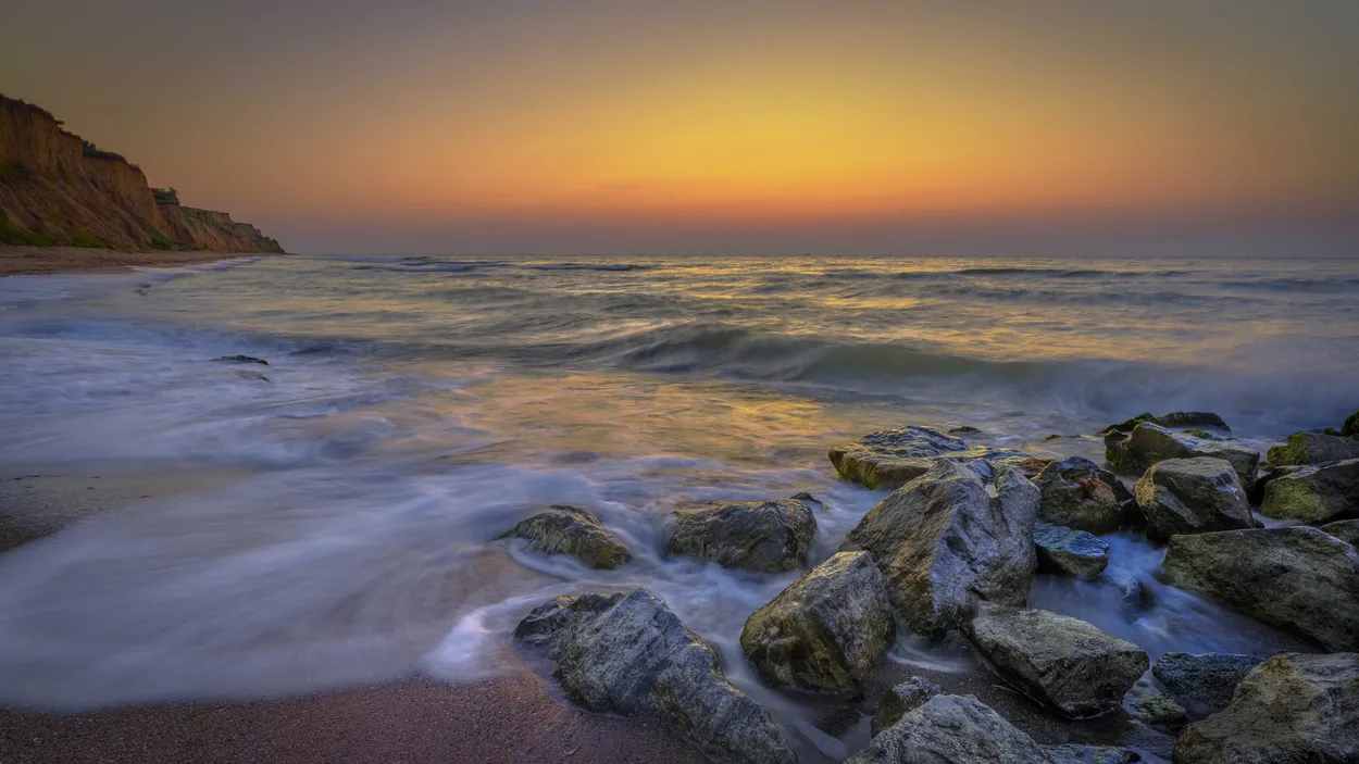 Entry 12024085