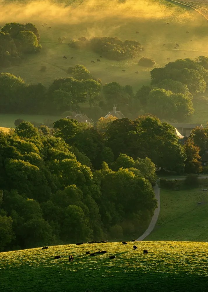 South Downs Way