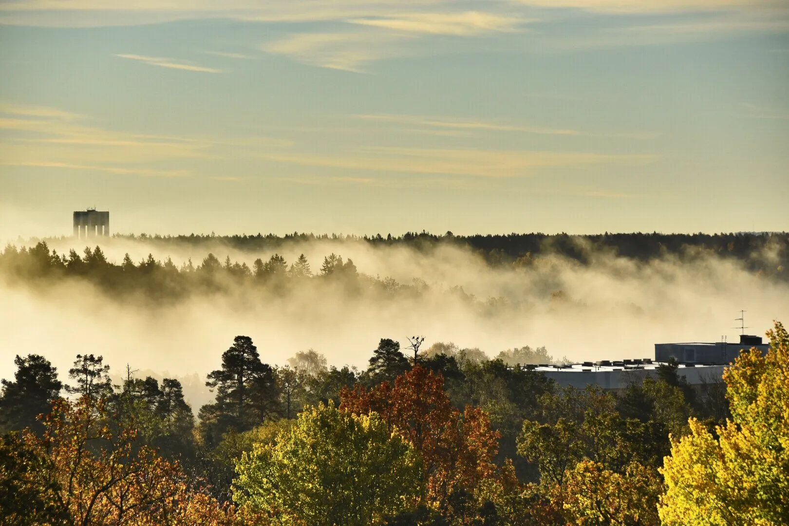 Mist over Dreviken