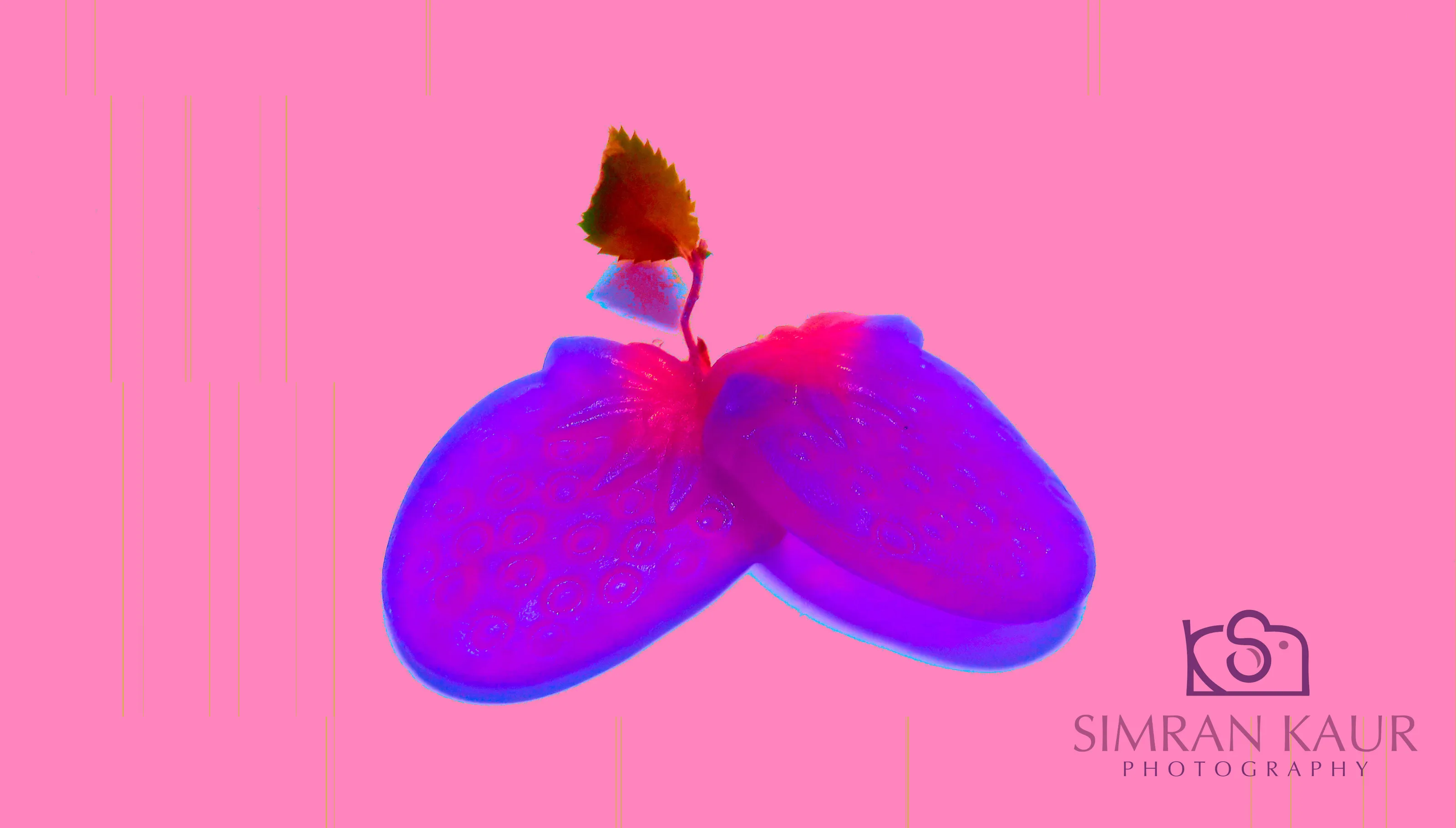 Poisonous Dreams