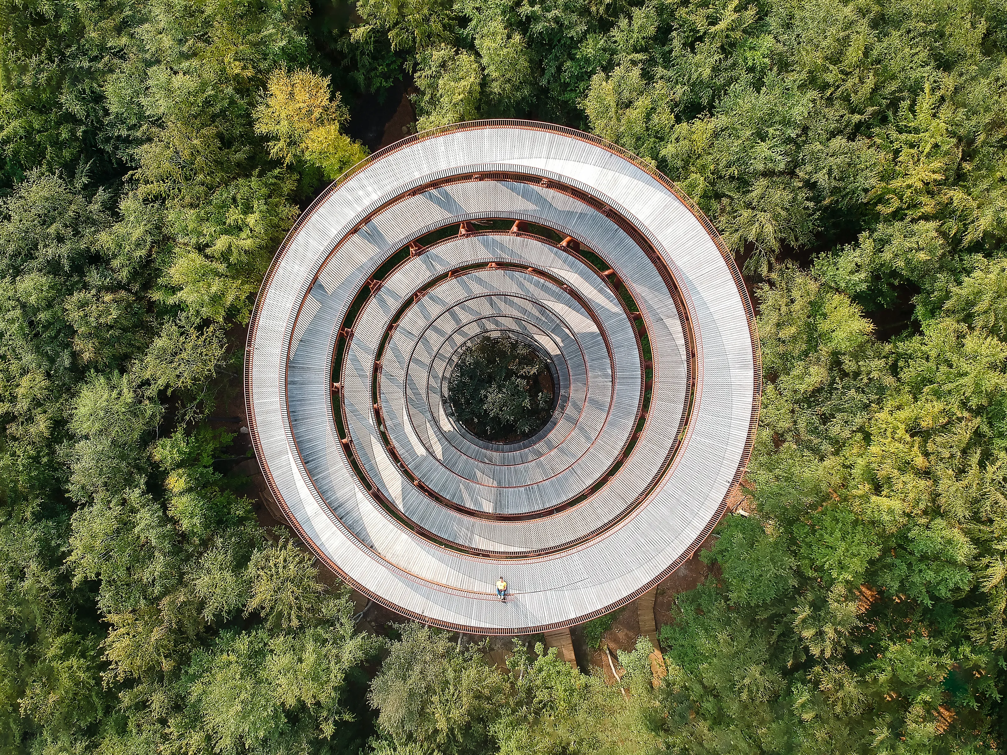 On top of the camp adventure observation tower