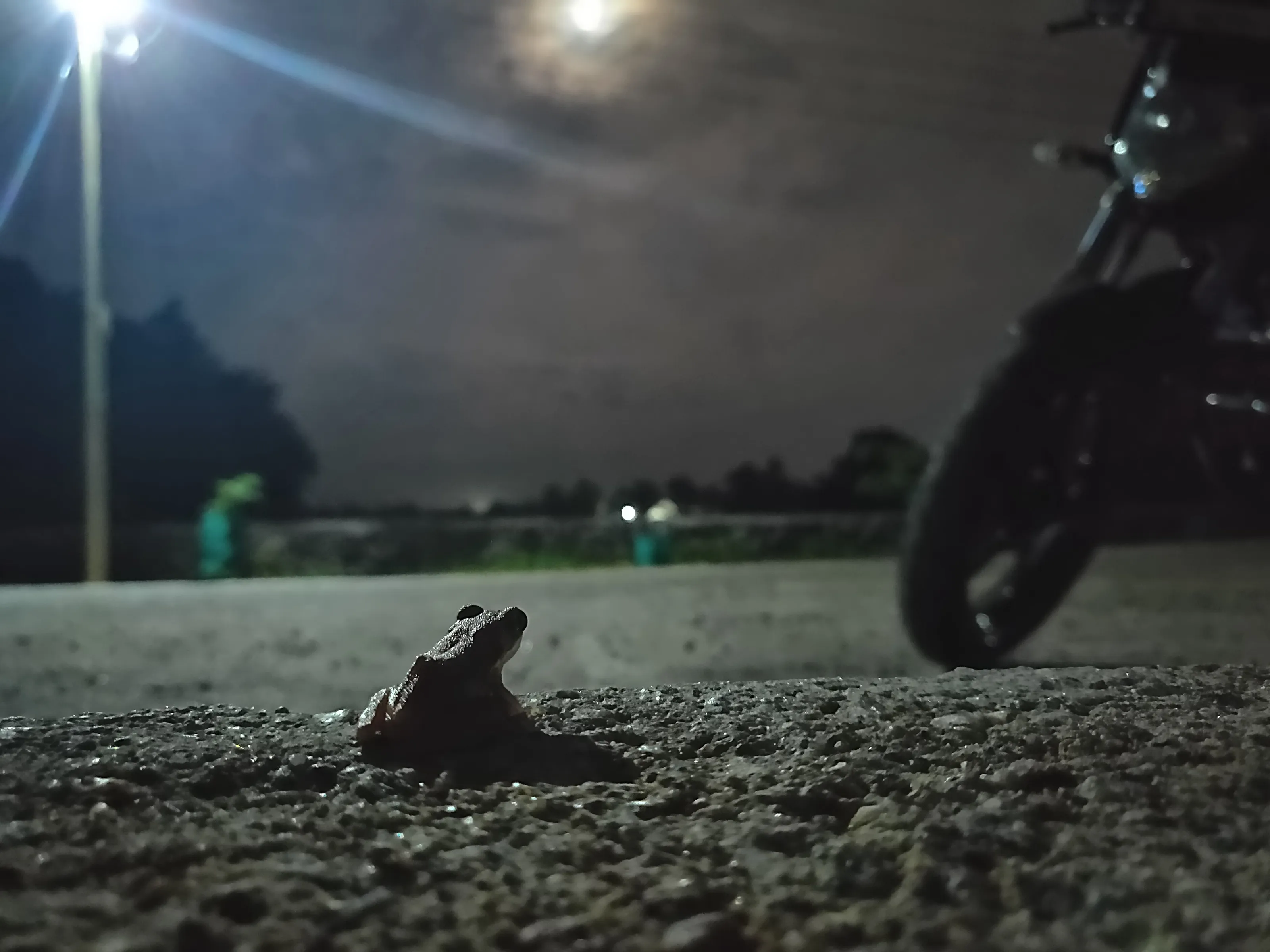 Staring at the moon