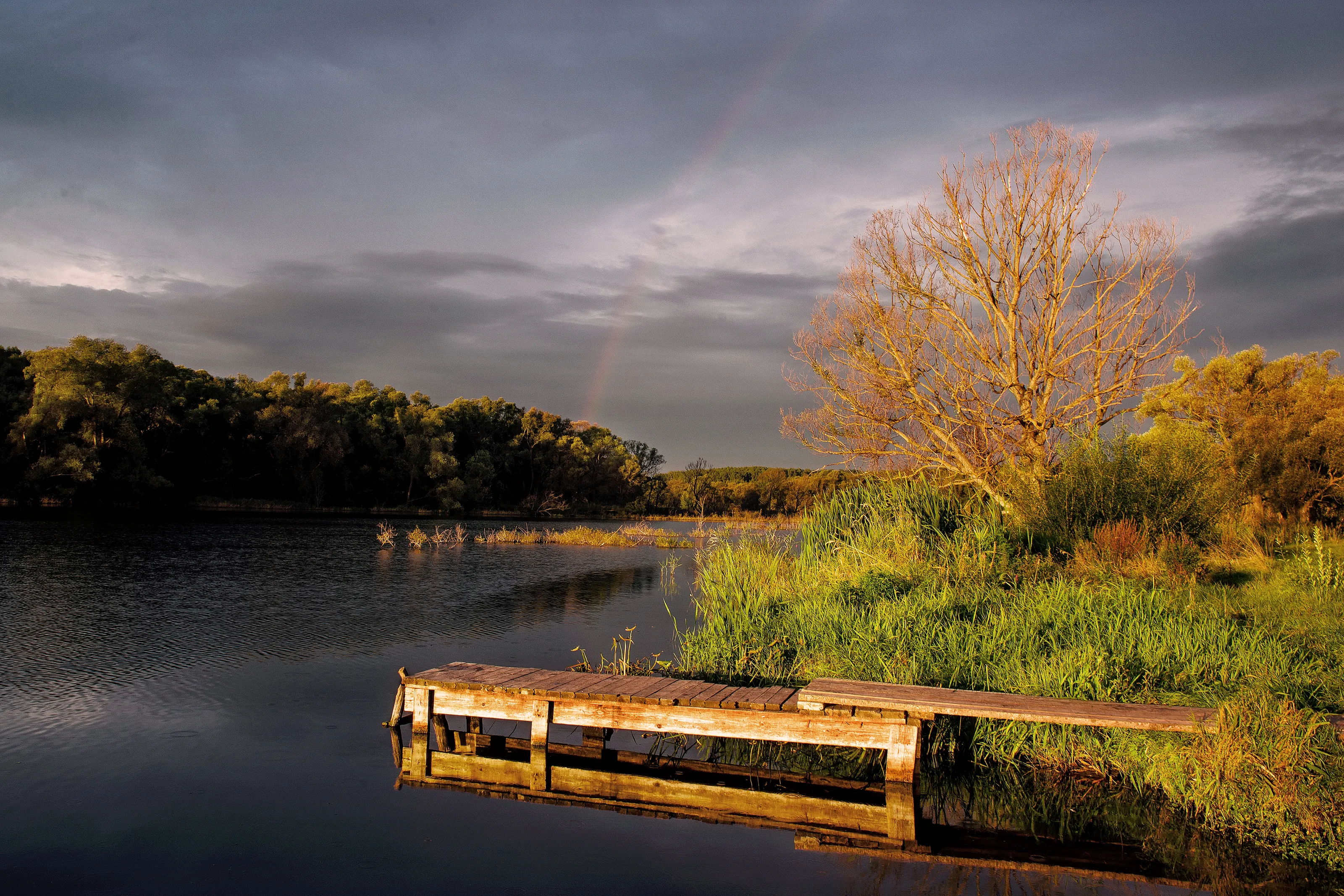Zusha river