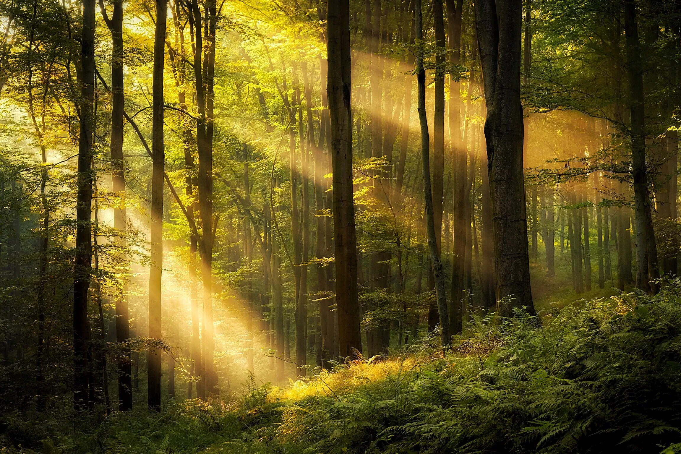 Golden green...