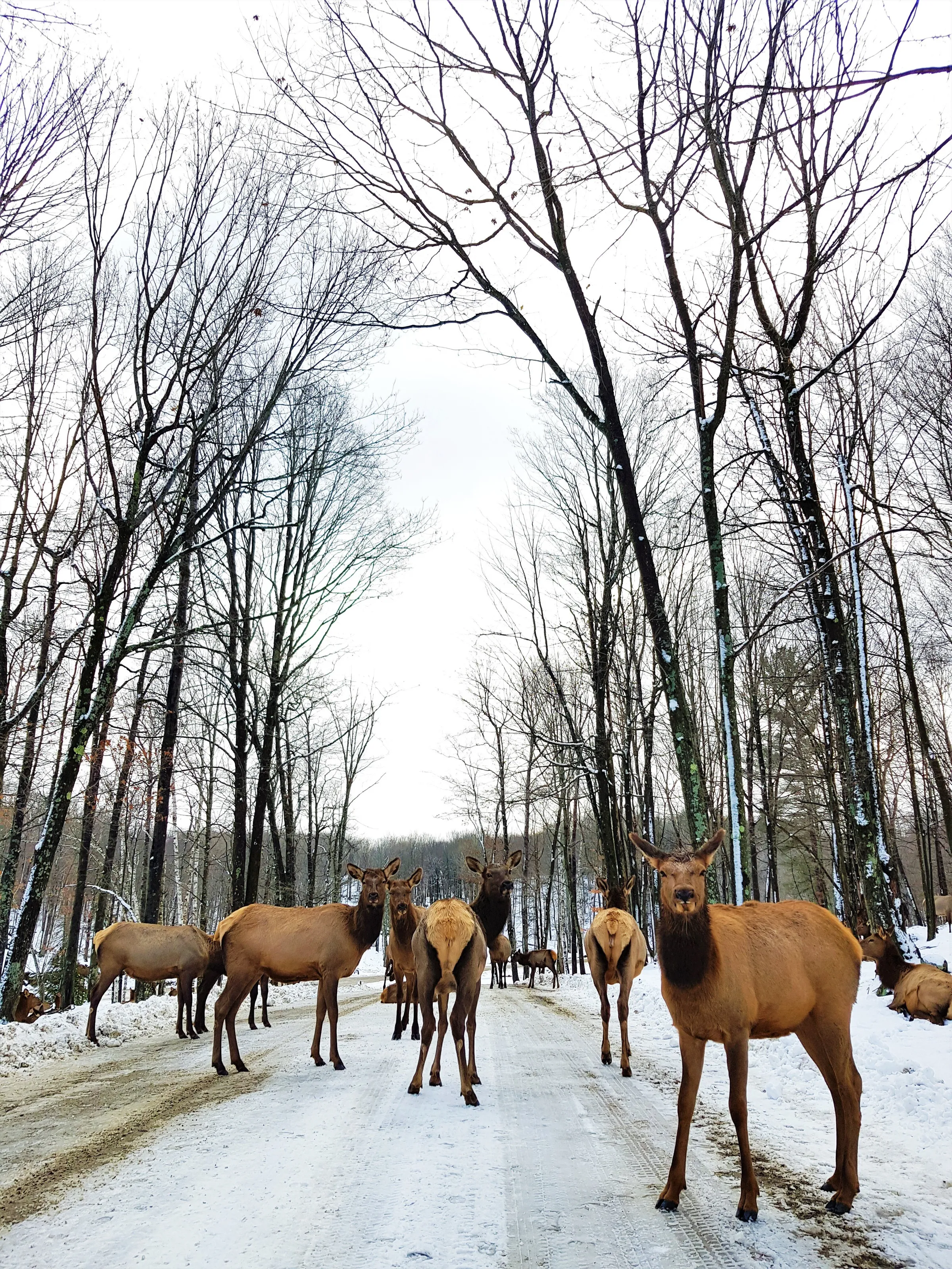 Road block