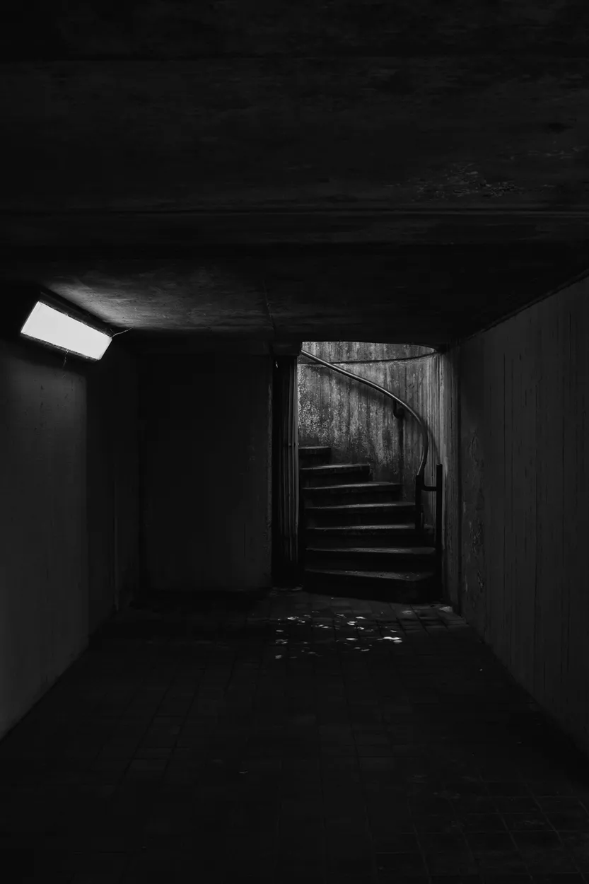 Entry 19588654
