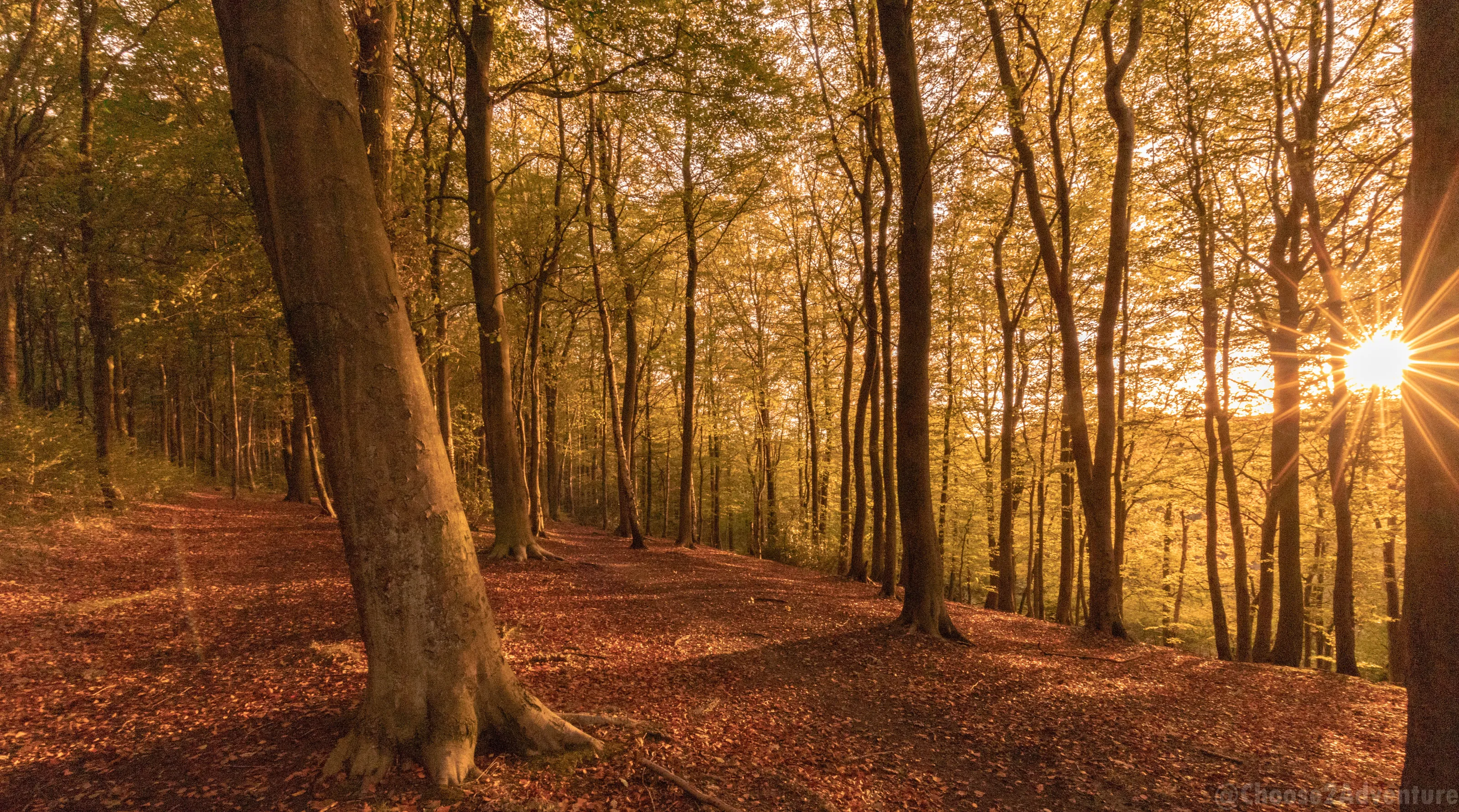 Derbyshire autumn vibes
