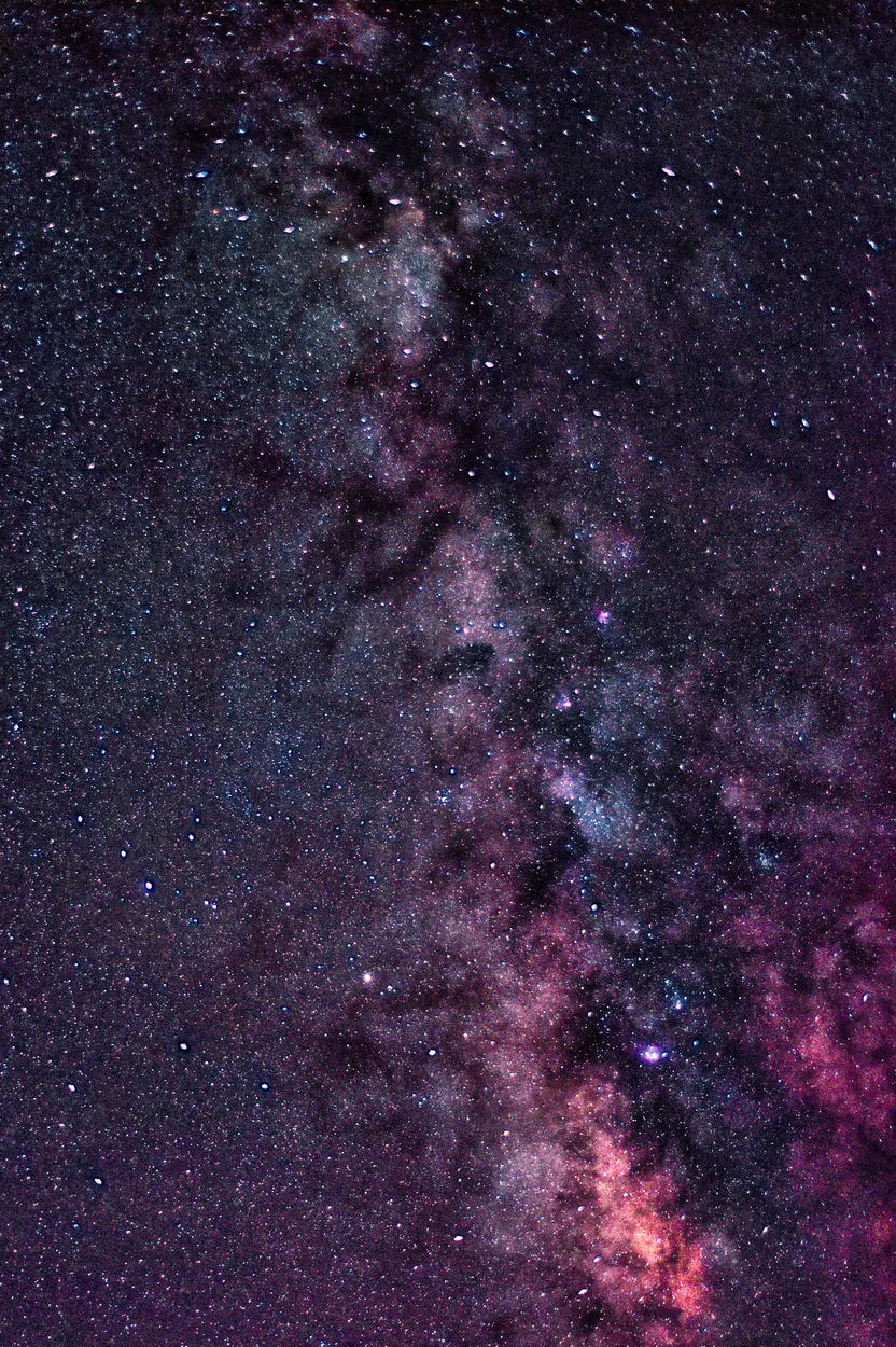 Entry 13992027