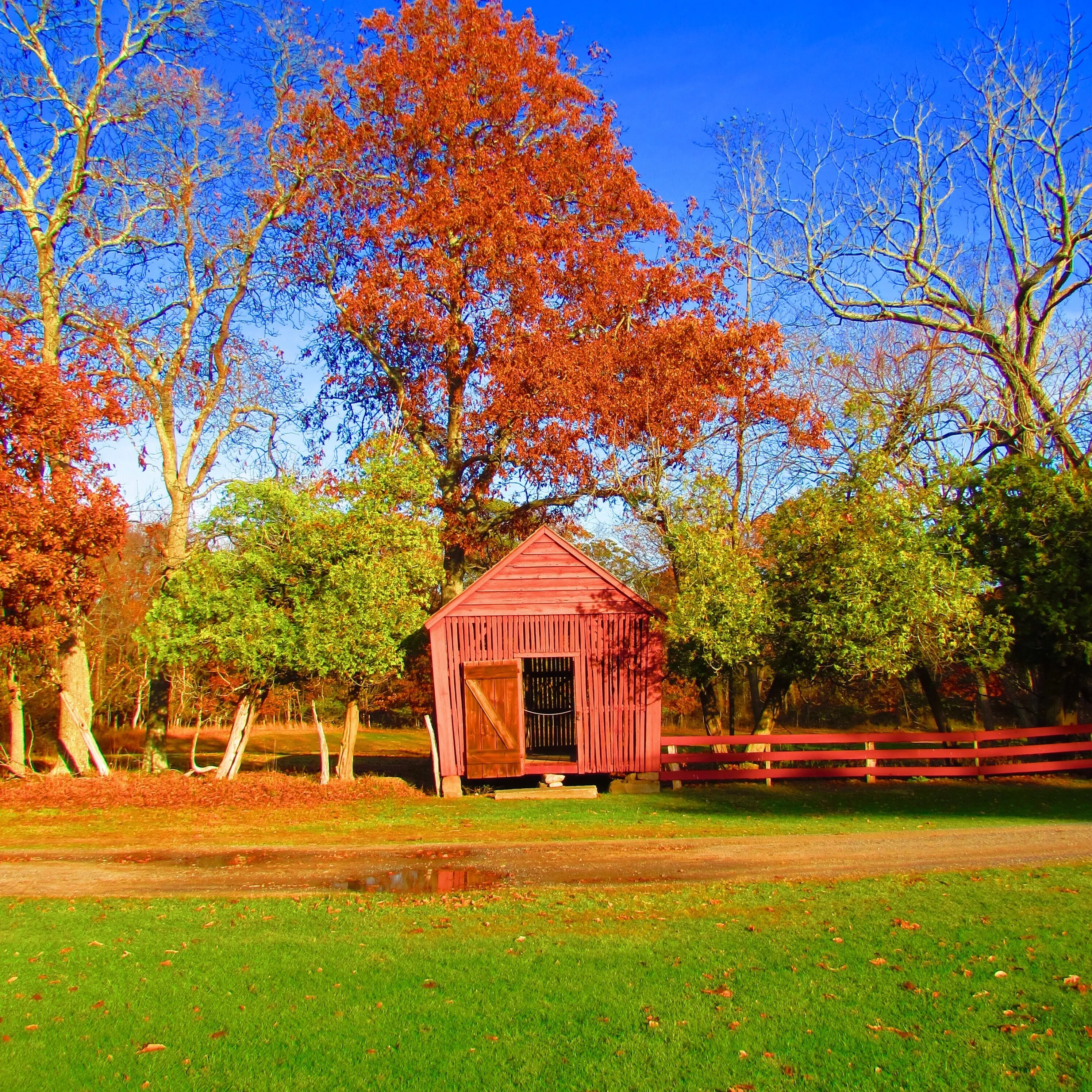 Autumn scenery