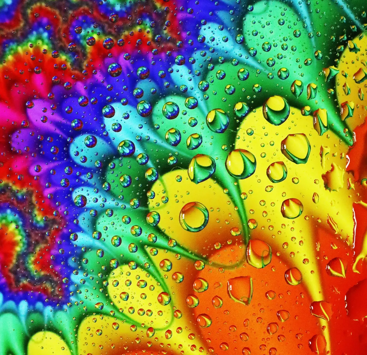 Entry 7294984