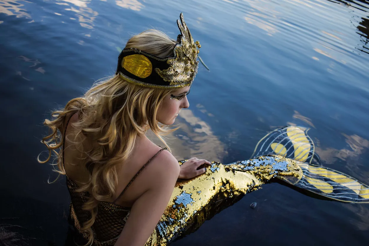 Entry 8635581