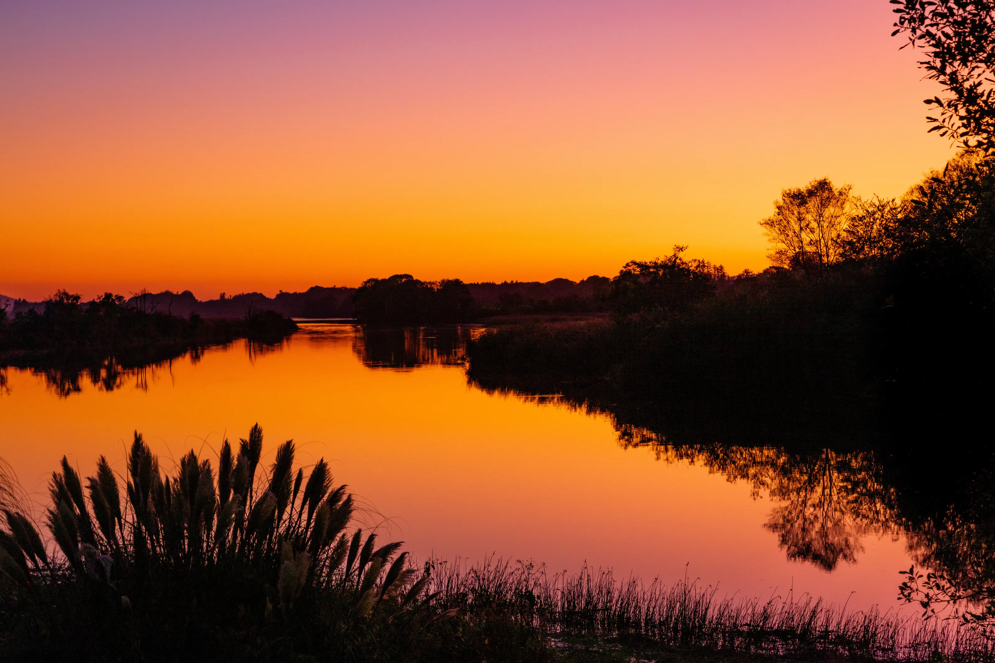 Roughty River Sunset