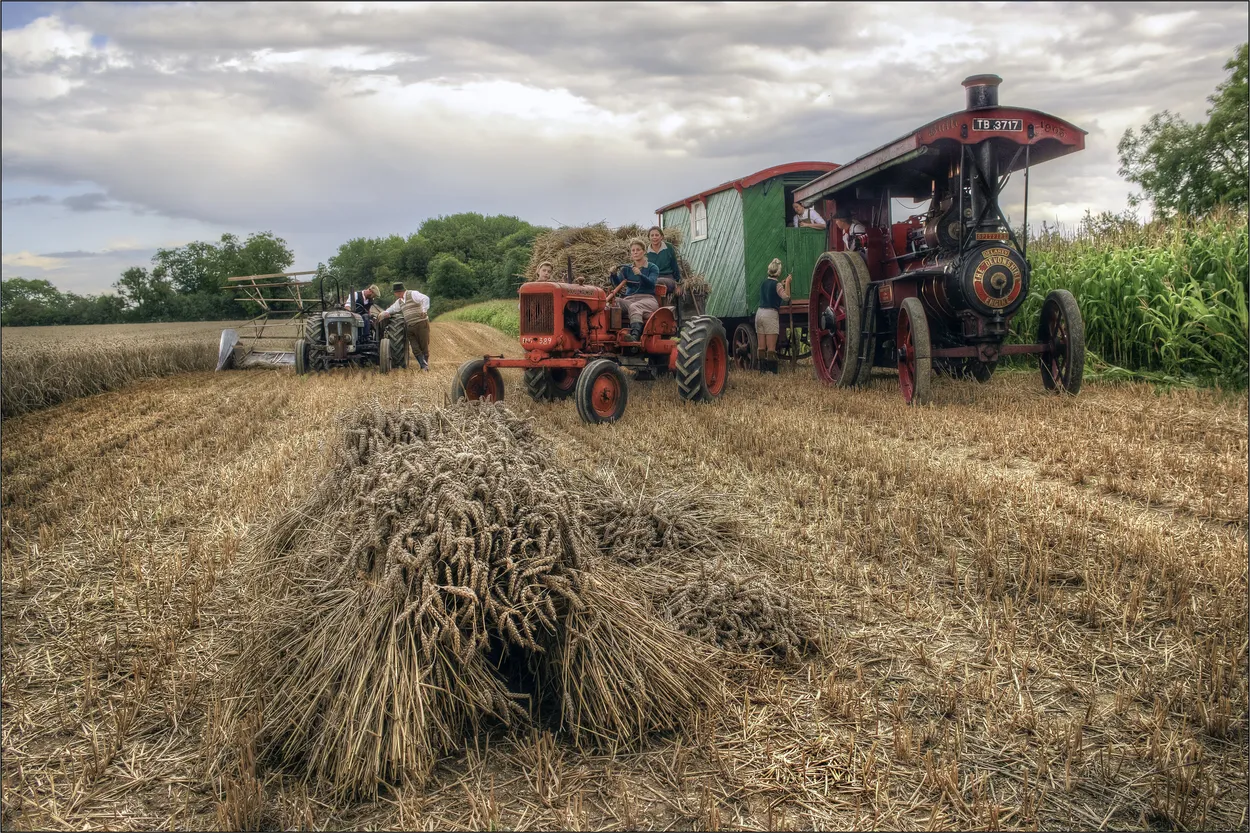 Entry 18989587