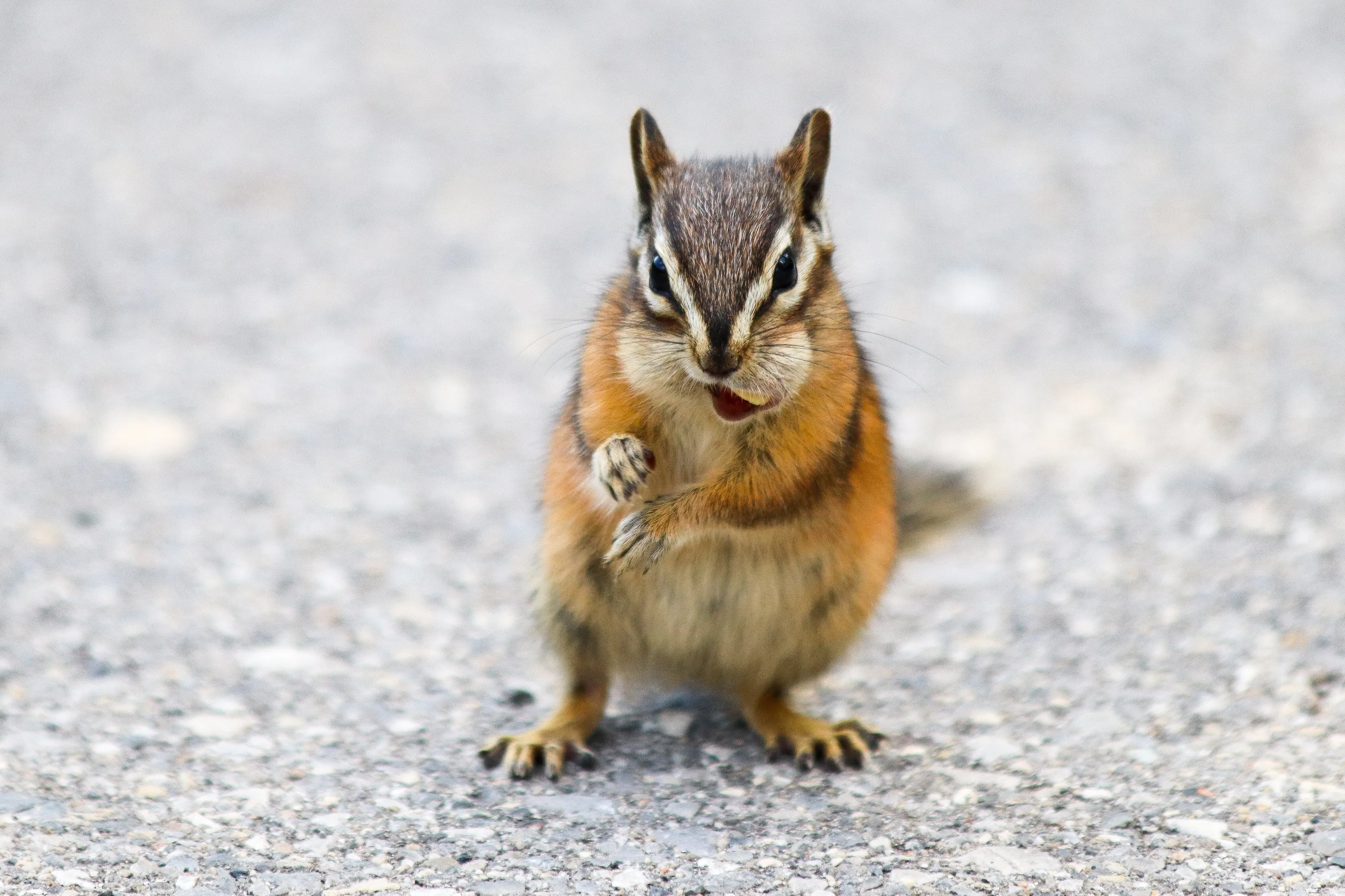 What Are You Looking At!
