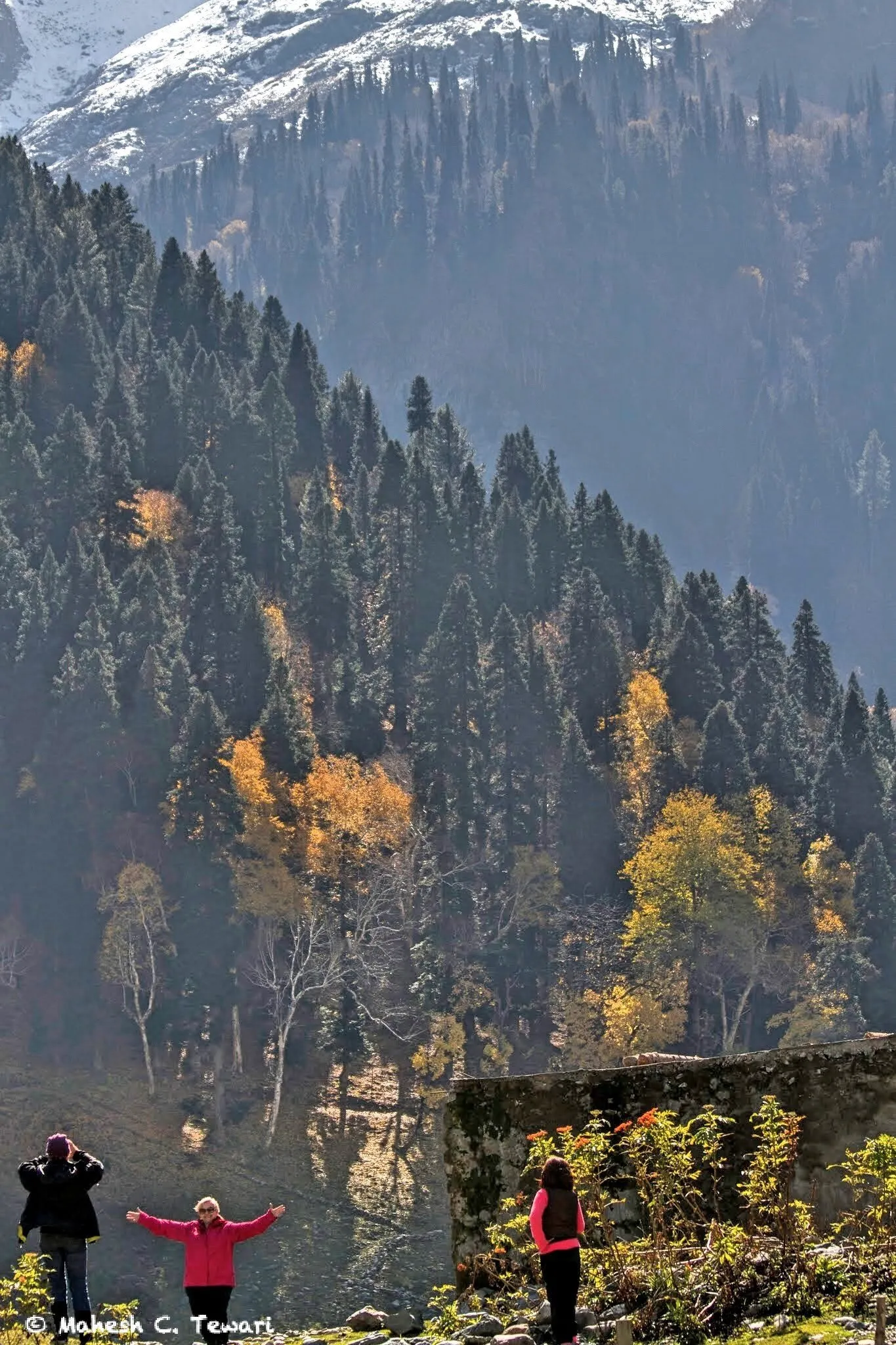 Lost in the beauty of the Himalayas.