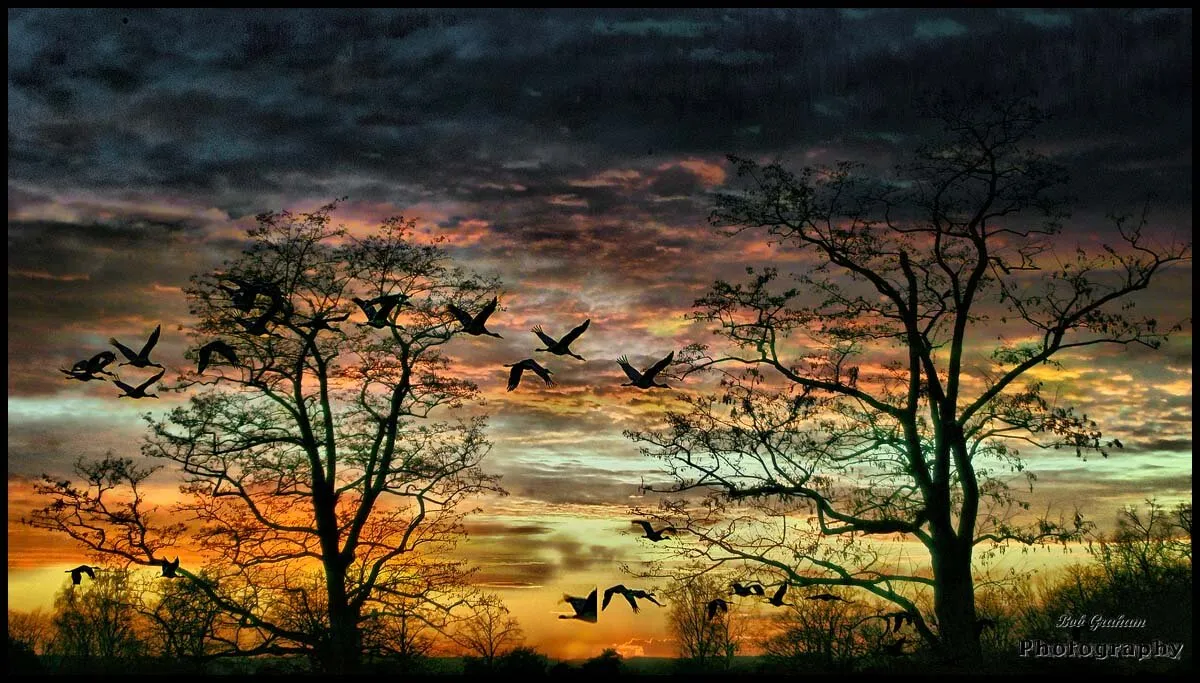 Flypast