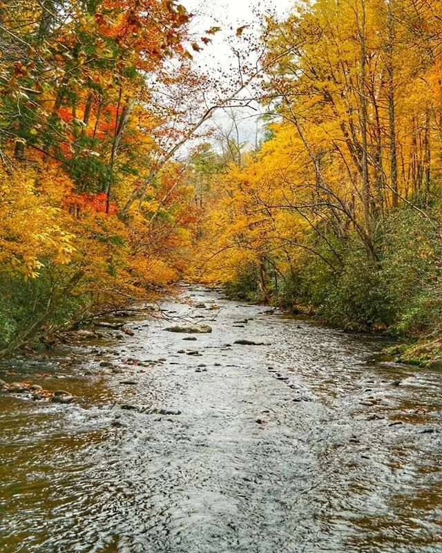 Peaceful morning Smoky Mountain River