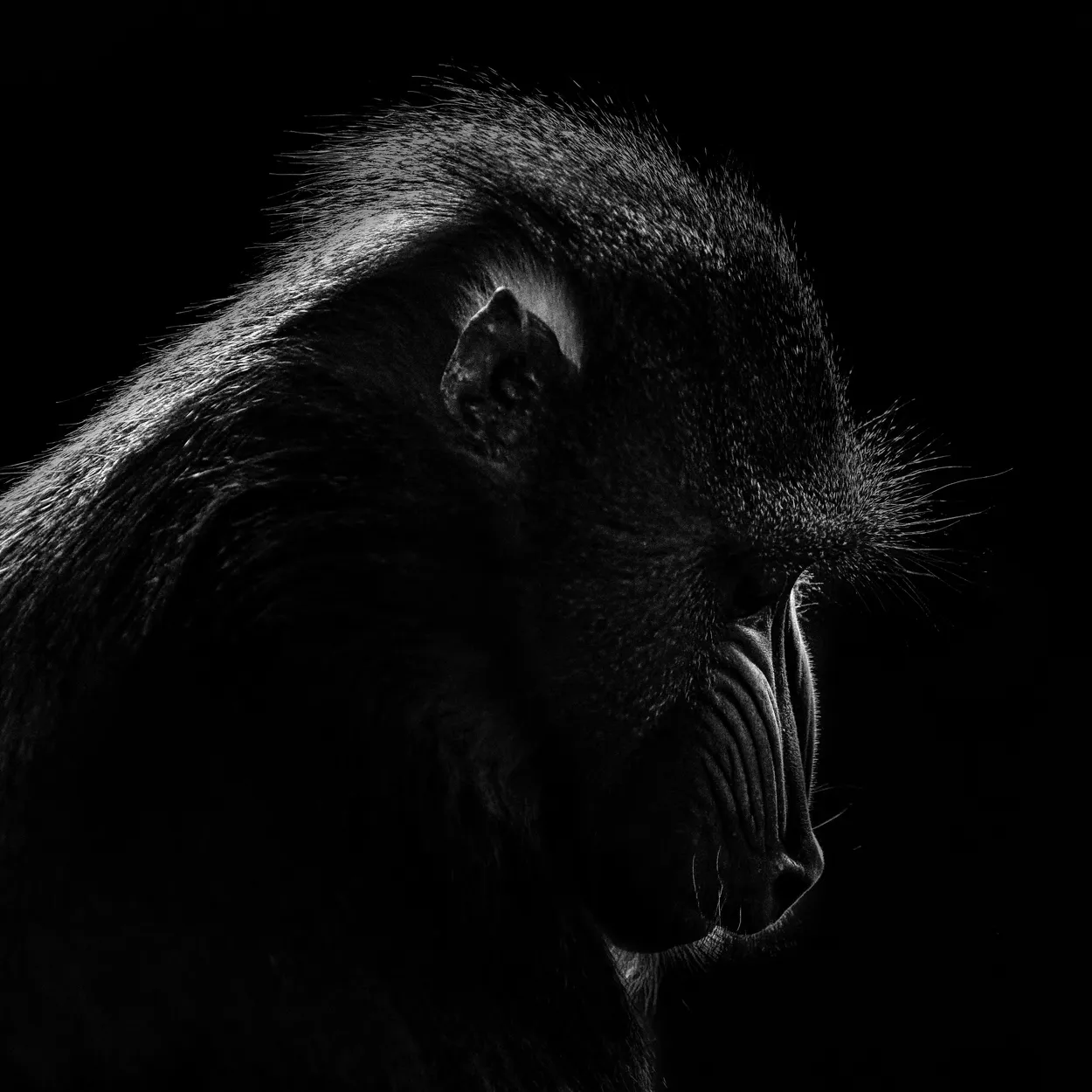 Thoughts in the dark