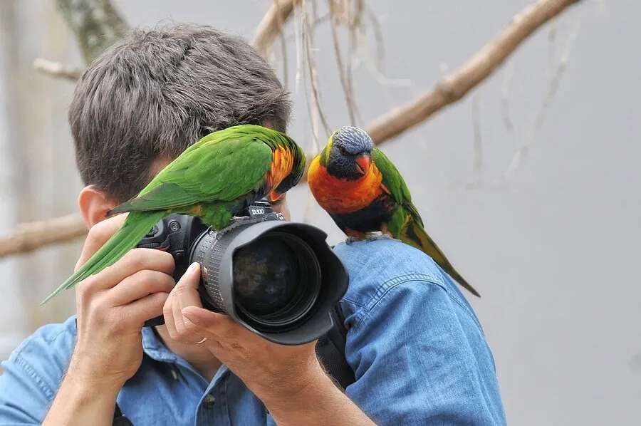 Entry 6115575