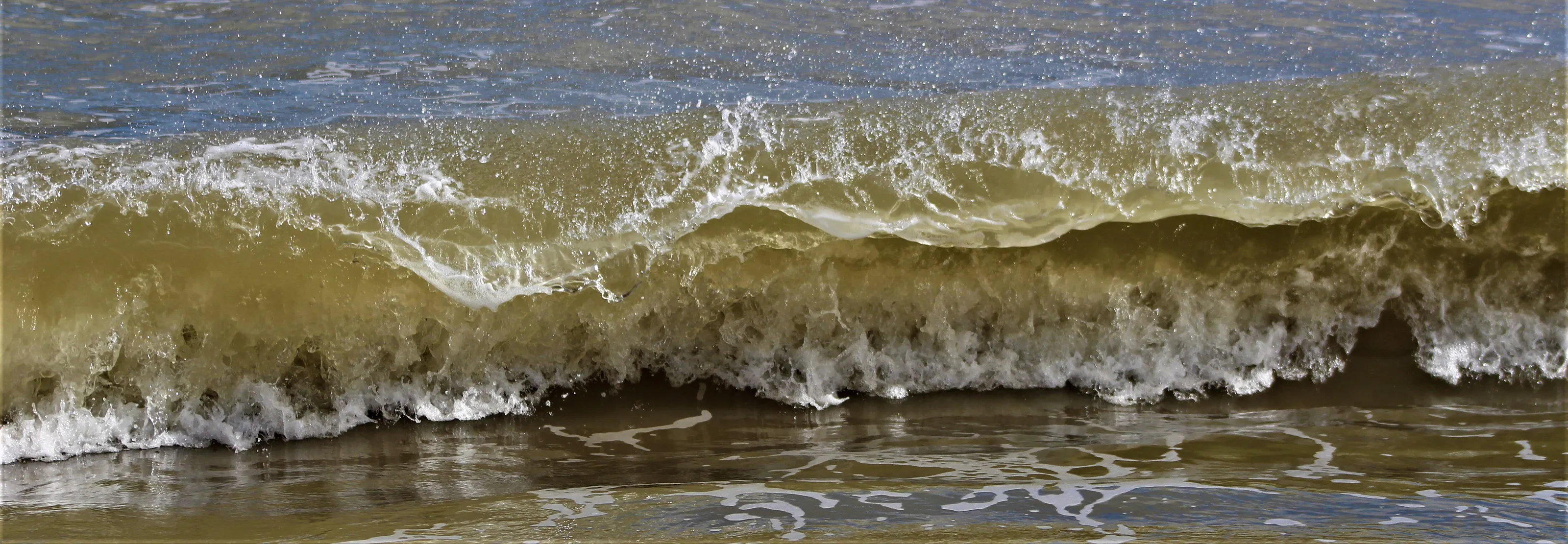 Waves